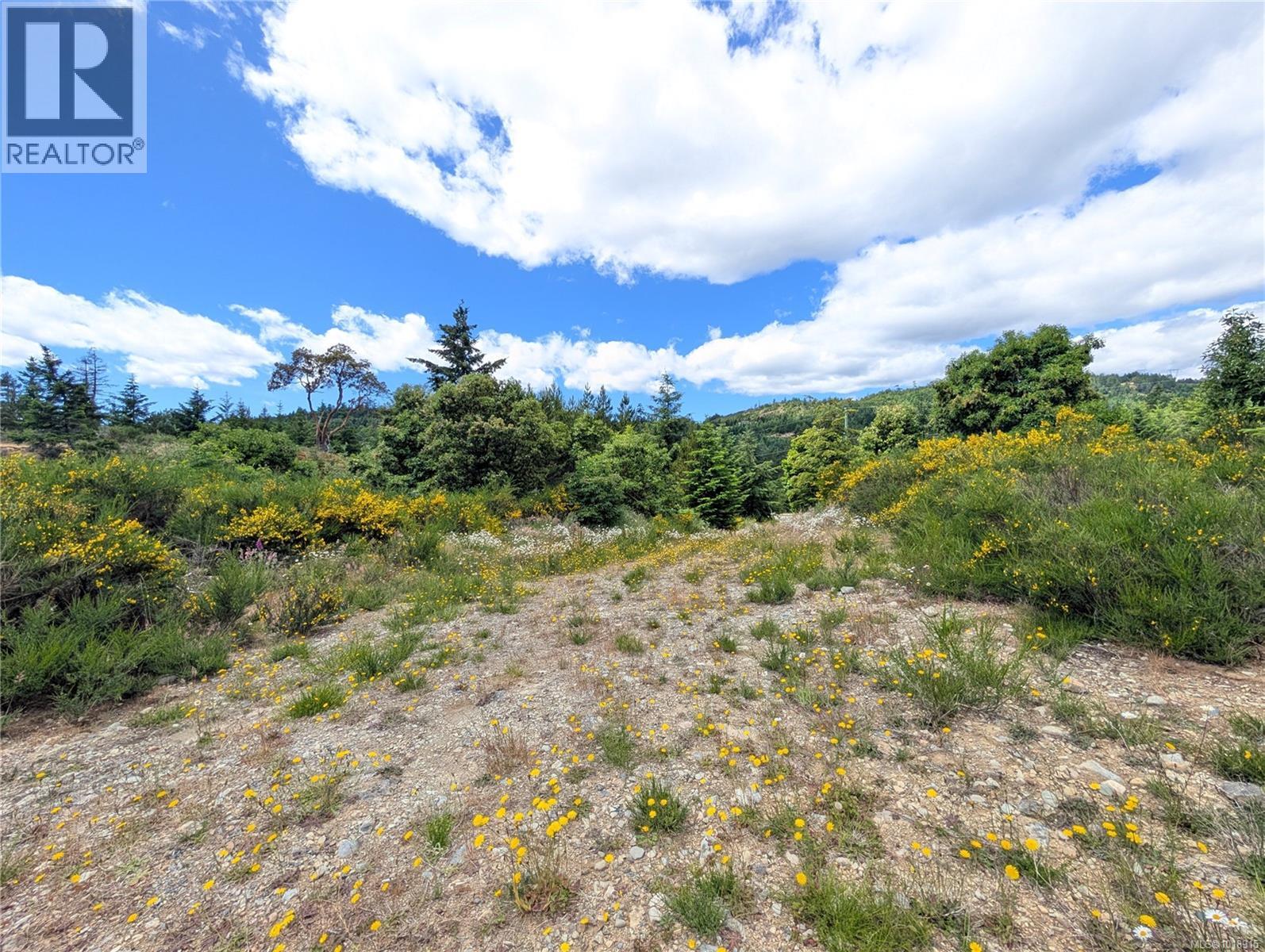 Lot 7 Eagle Vista Rd, Shawnigan Lake, British Columbia  V8H 2J1 - Photo 32 - 1018915