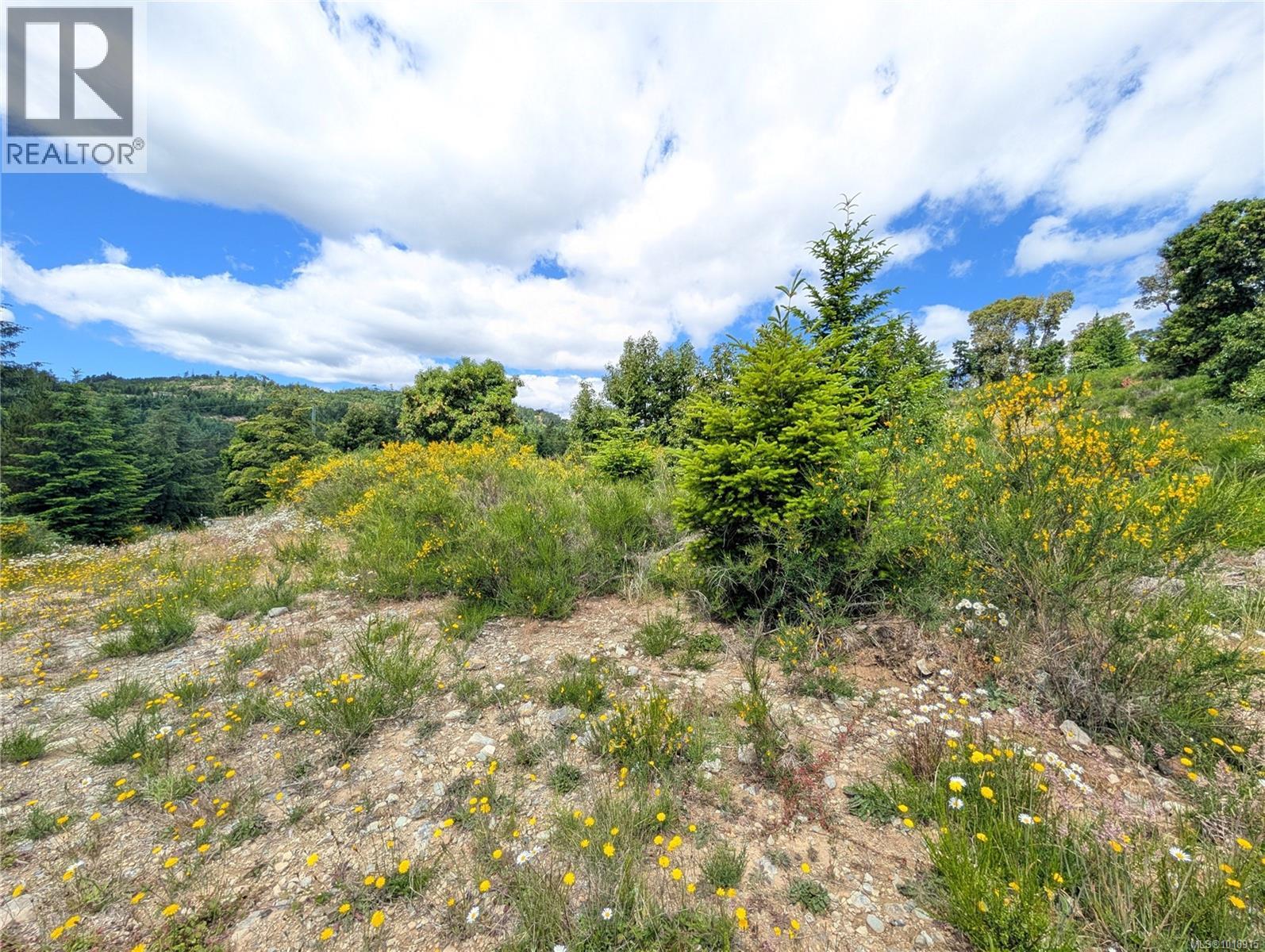 Lot 7 Eagle Vista Rd, Shawnigan Lake, British Columbia  V8H 2J1 - Photo 38 - 1018915