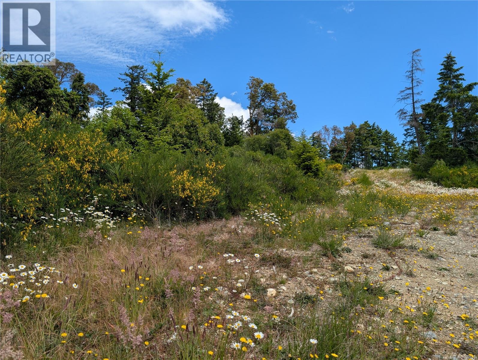 Lot 7 Eagle Vista Rd, Shawnigan Lake, British Columbia  V8H 2J1 - Photo 17 - 1018915