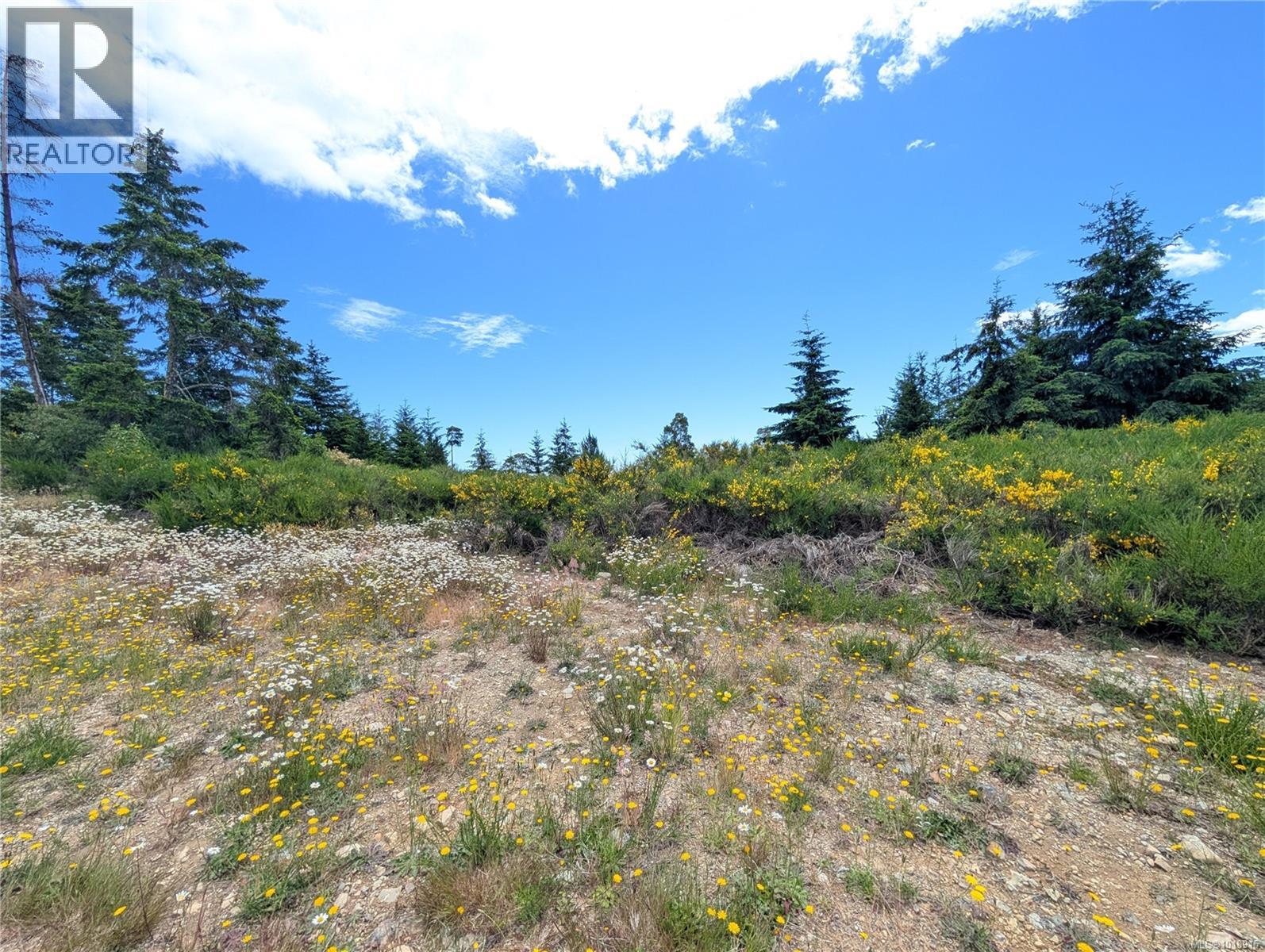Lot 7 Eagle Vista Rd, Shawnigan Lake, British Columbia  V8H 2J1 - Photo 35 - 1018915