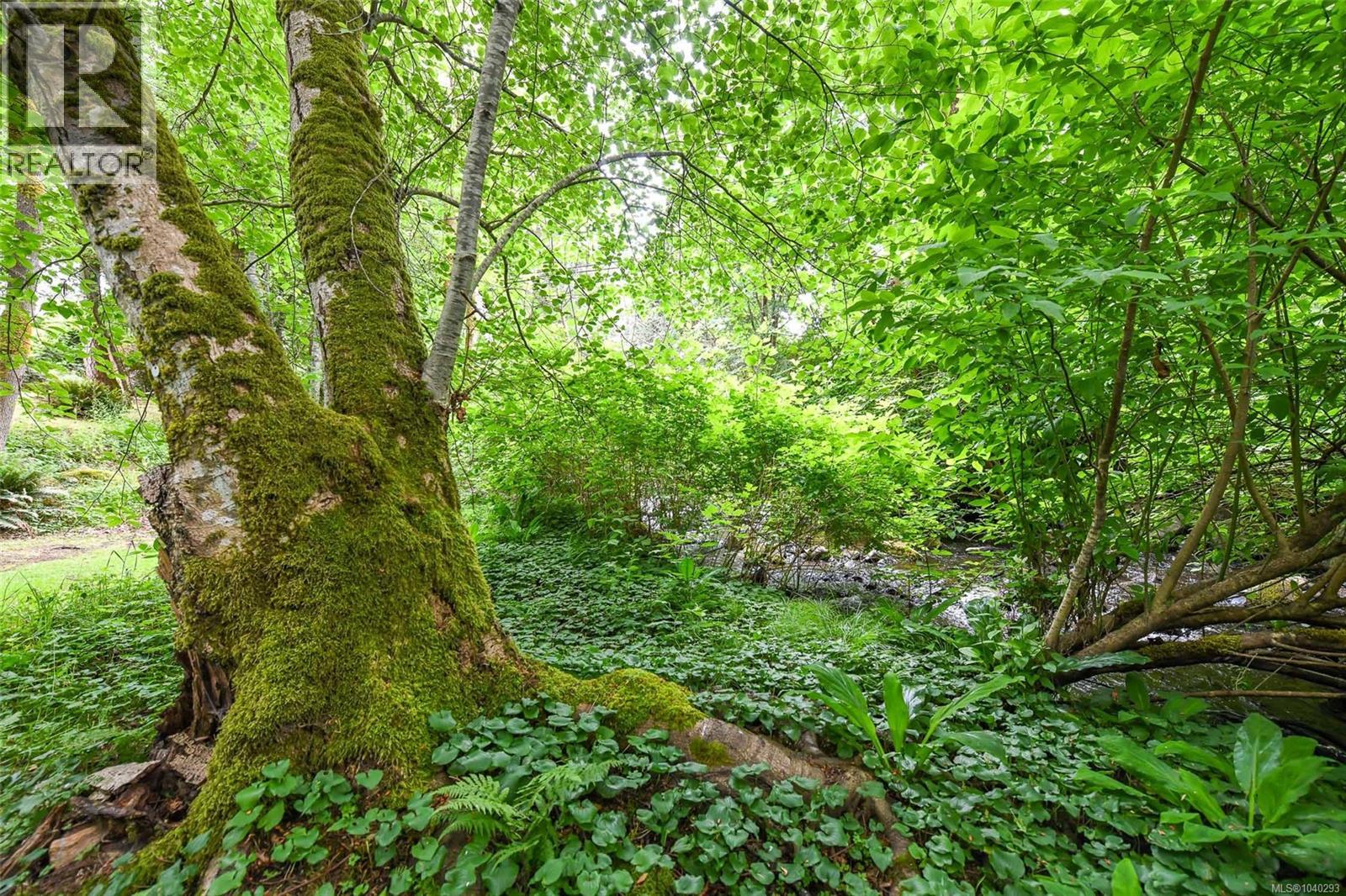 408 Powerhouse Rd, Courtenay, British Columbia  V9N 9L1 - Photo 62 - 1040293