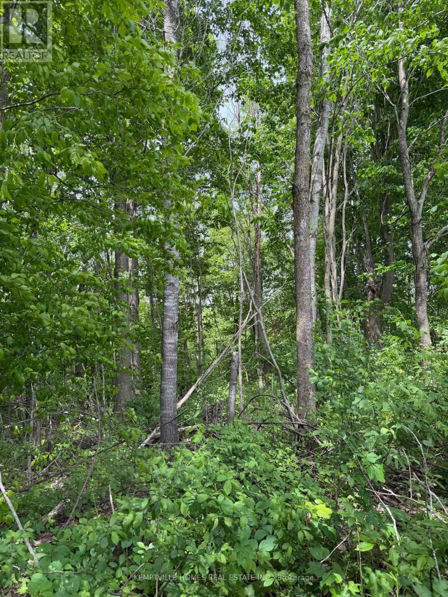 00 Richardson Road, Montague, Ontario K0G 1N0 - Photo 12 - X13439846