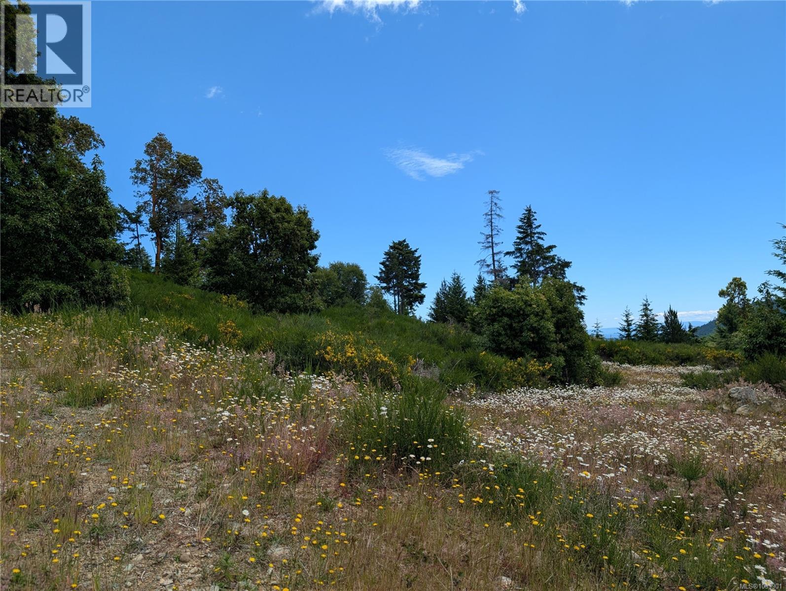 Lt 6 Eagle Vista Rd, Shawnigan Lake, British Columbia V8H 2J1 - Photo 10 - 1039901
