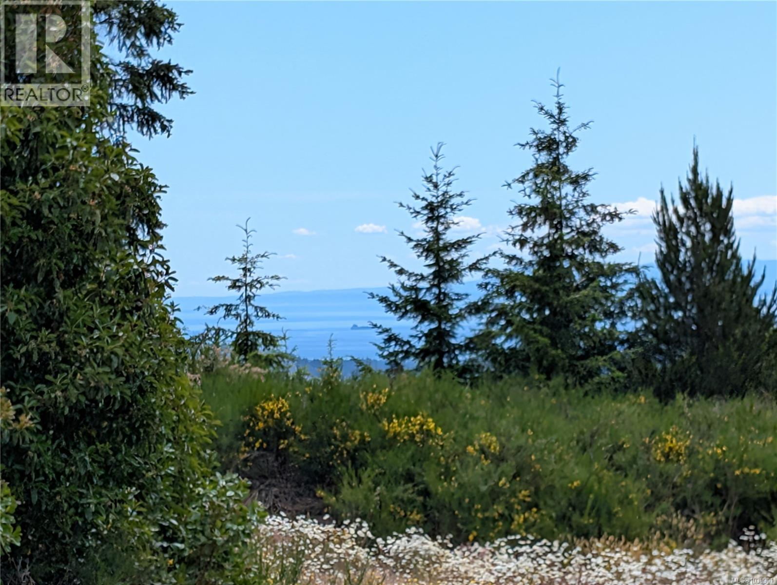 Lt 6 Eagle Vista Rd, Shawnigan Lake, British Columbia V8H 2J1 - Photo 11 - 1039901