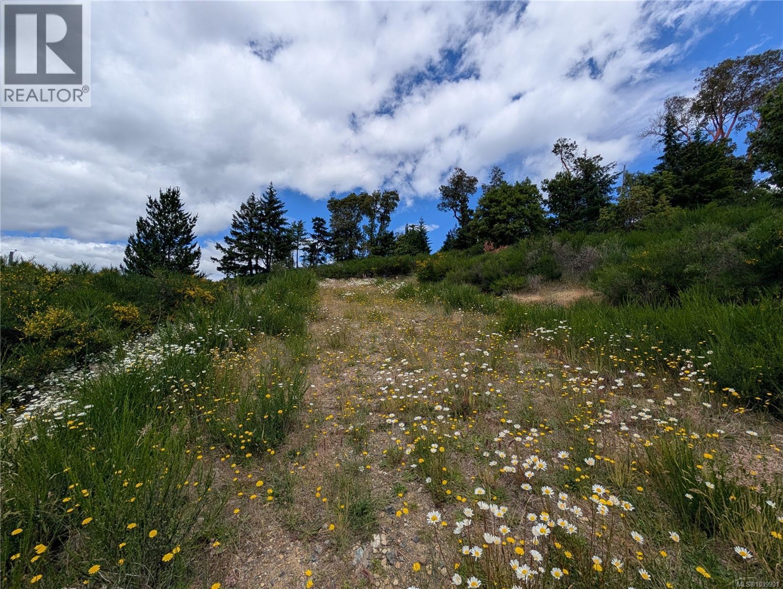 Lt 6 Eagle Vista Rd, Shawnigan Lake, British Columbia V8H 2J1 - Photo 12 - 1039901
