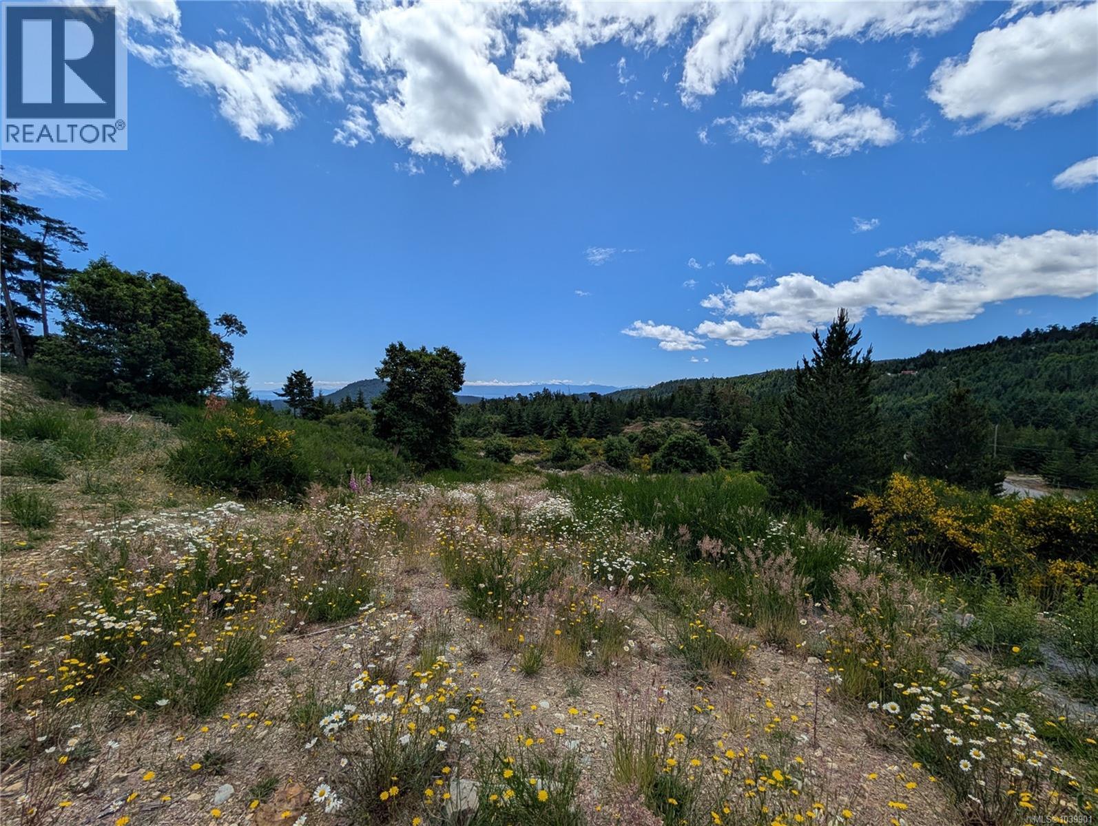 Lt 6 Eagle Vista Rd, Shawnigan Lake, British Columbia V8H 2J1 - Photo 13 - 1039901