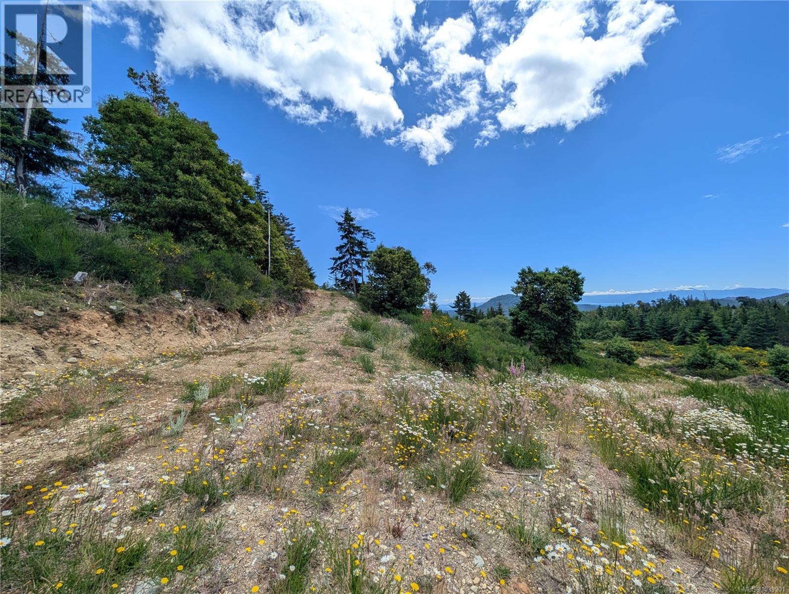 Lt 6 Eagle Vista Rd, Shawnigan Lake, British Columbia V8H 2J1 - Photo 15 - 1039901