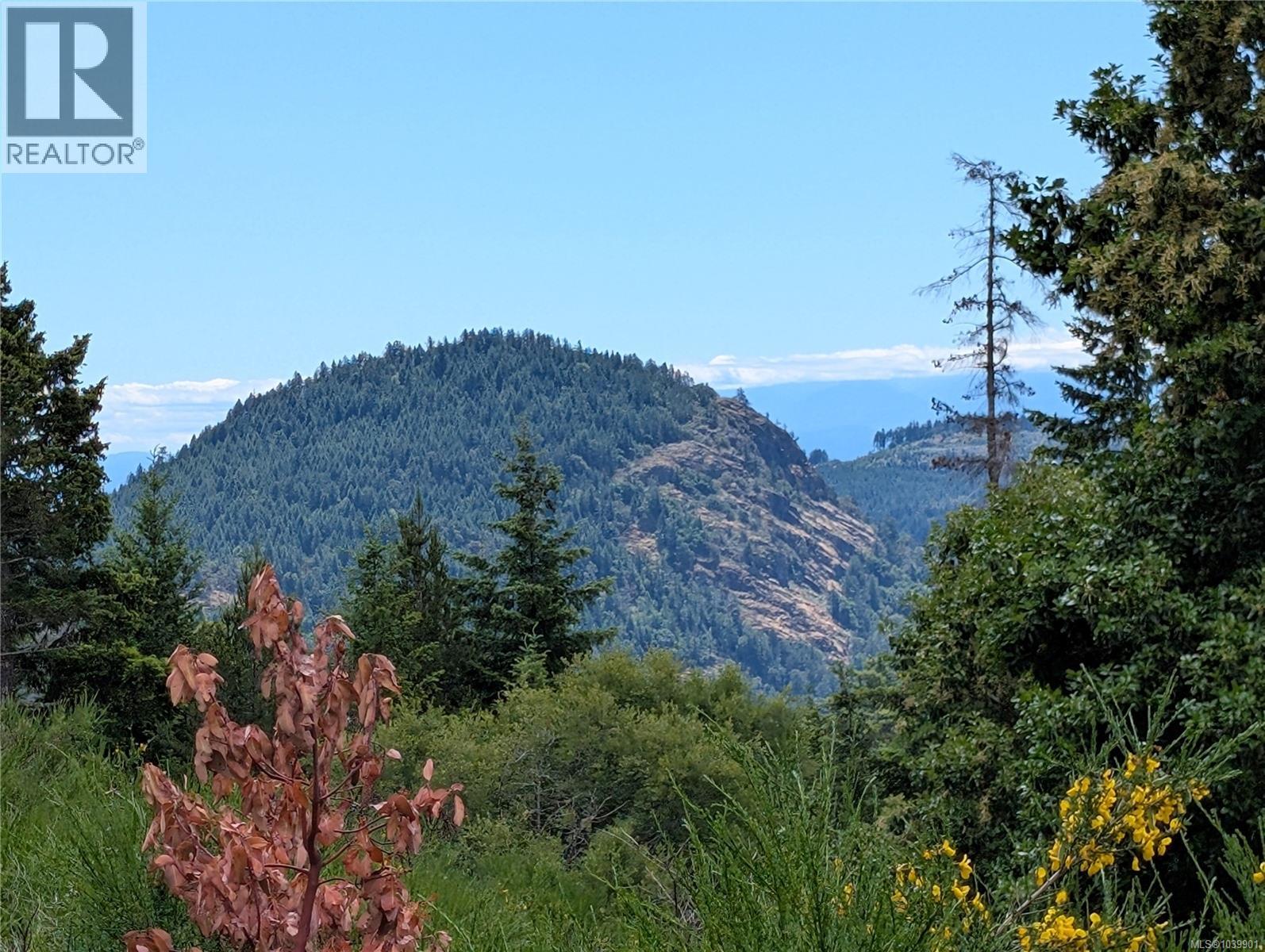 Lt 6 Eagle Vista Rd, Shawnigan Lake, British Columbia V8H 2J1 - Photo 19 - 1039901