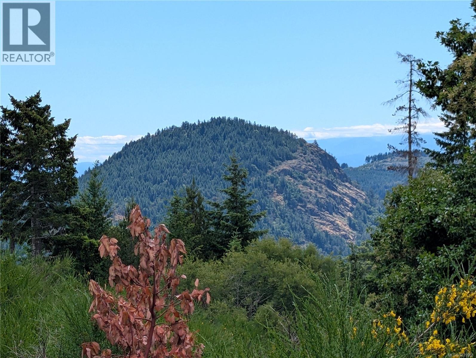 Lt 6 Eagle Vista Rd, Shawnigan Lake, British Columbia V8H 2J1 - Photo 20 - 1039901