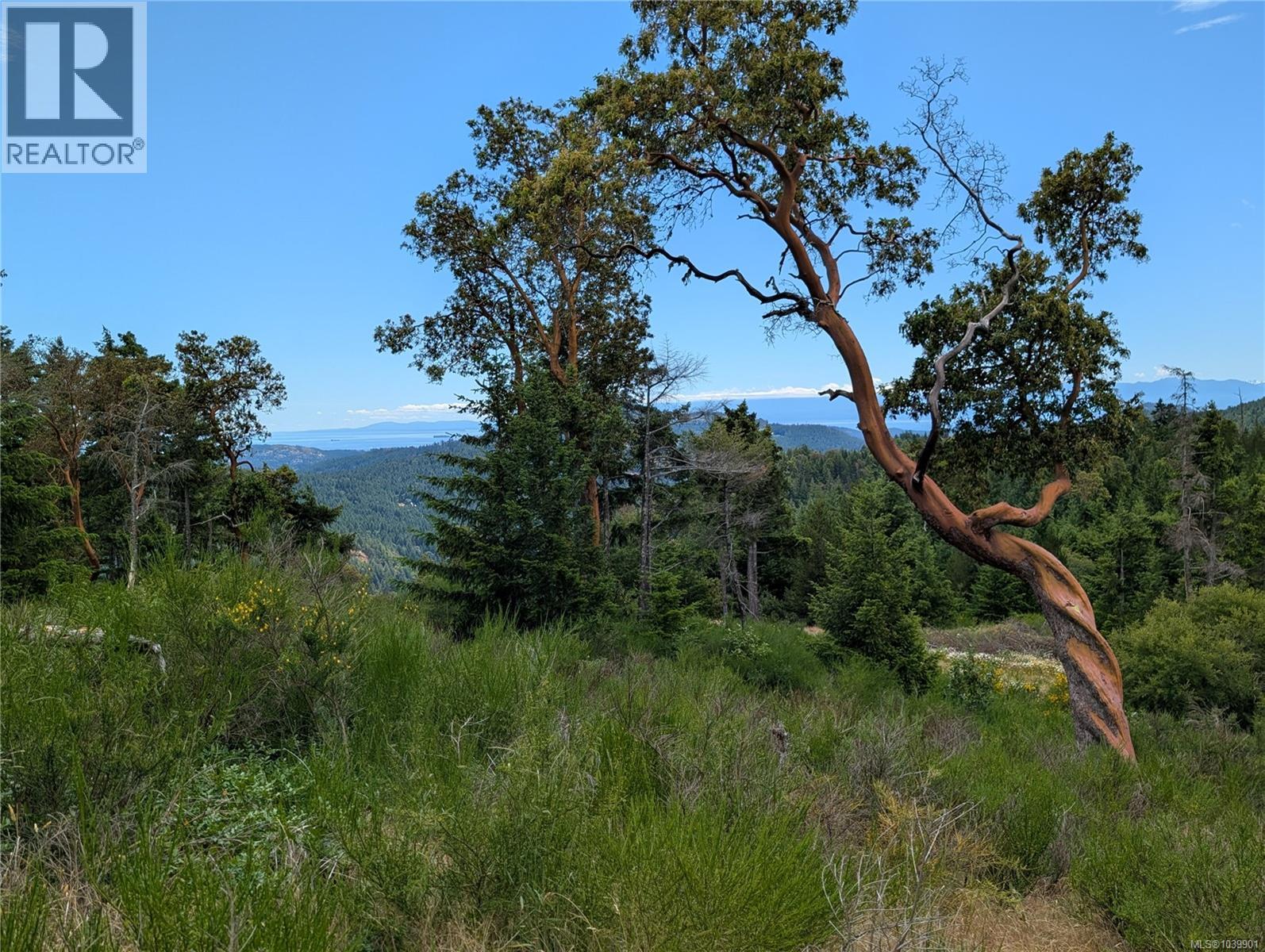 Lt 6 Eagle Vista Rd, Shawnigan Lake, British Columbia V8H 2J1 - Photo 21 - 1039901