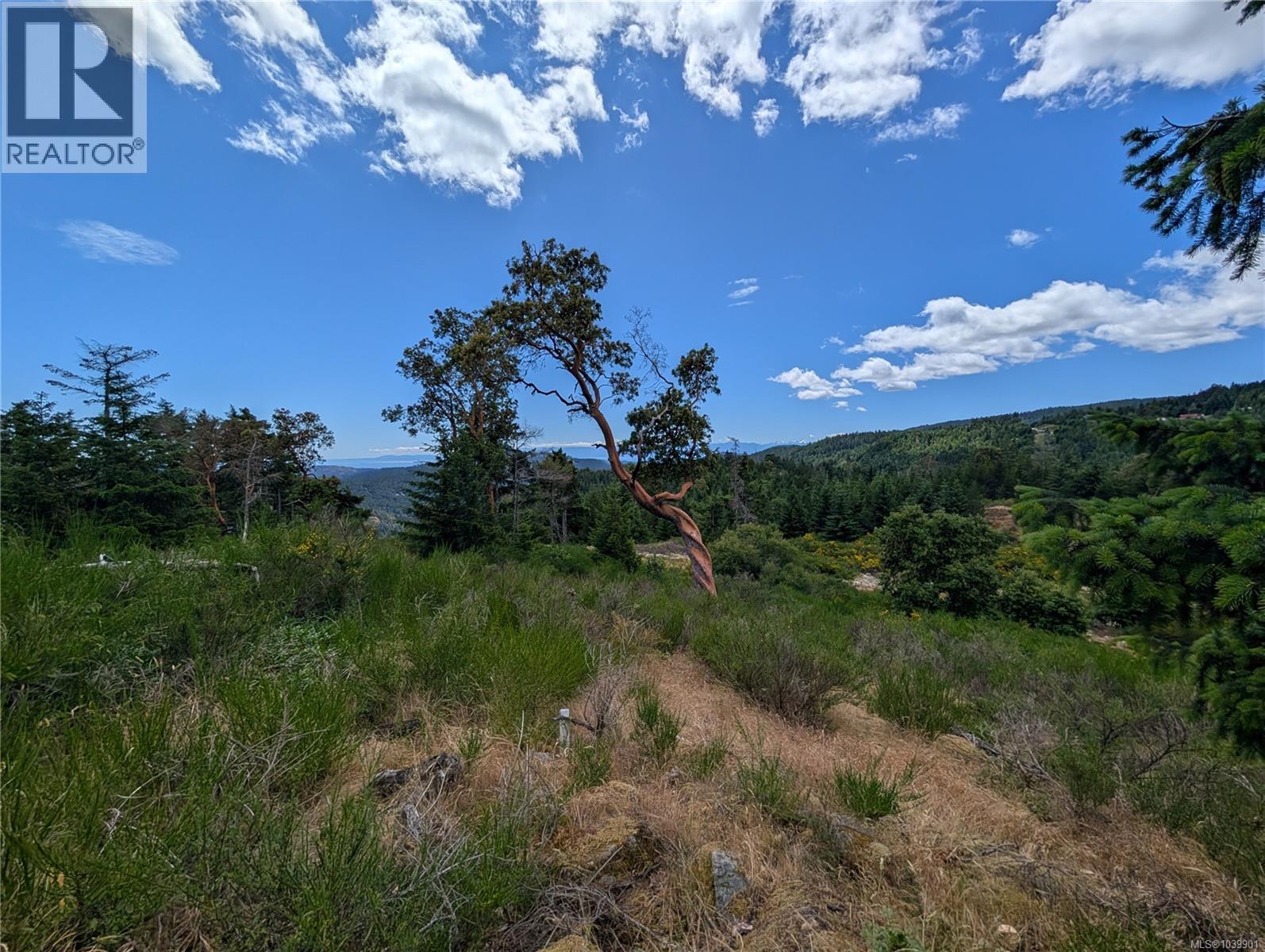 Lt 6 Eagle Vista Rd, Shawnigan Lake, British Columbia V8H 2J1 - Photo 24 - 1039901