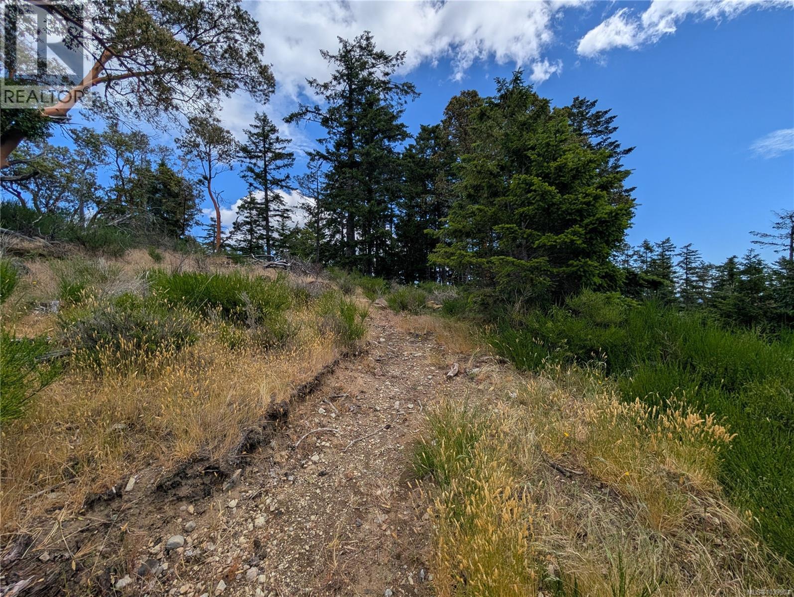 Lt 6 Eagle Vista Rd, Shawnigan Lake, British Columbia V8H 2J1 - Photo 25 - 1039901
