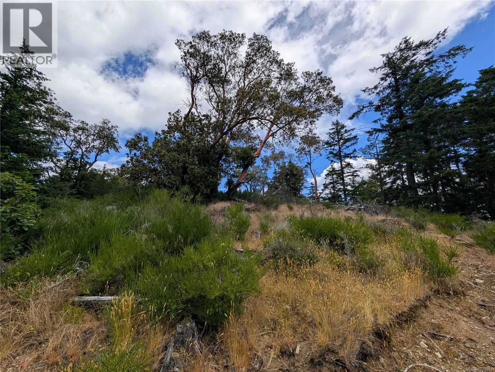 Lt 6 Eagle Vista Rd, Shawnigan Lake, British Columbia V8H 2J1 - Photo 26 - 1039901