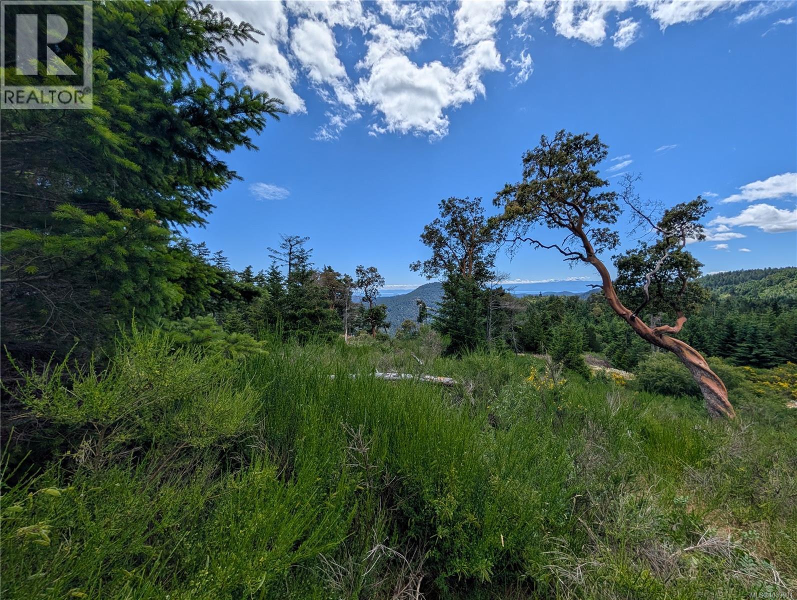 Lt 6 Eagle Vista Rd, Shawnigan Lake, British Columbia V8H 2J1 - Photo 27 - 1039901