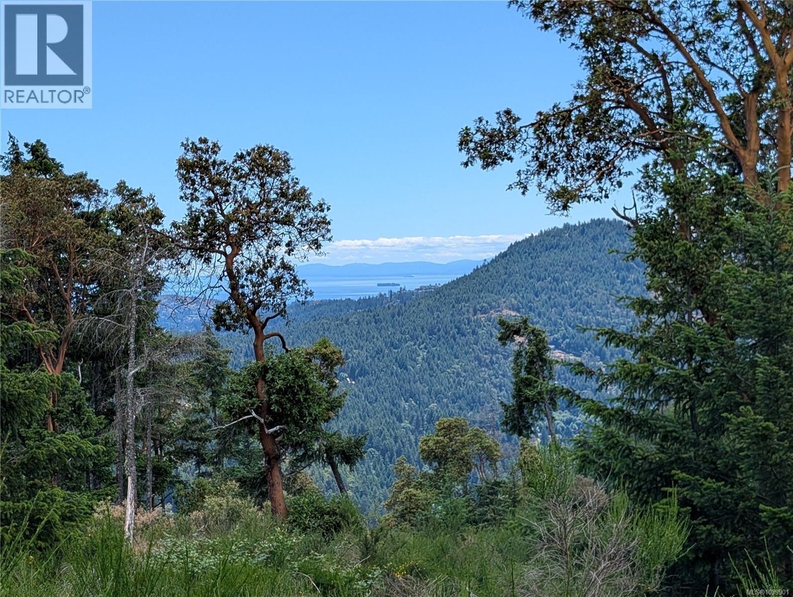 Lt 6 Eagle Vista Rd, Shawnigan Lake, British Columbia V8H 2J1 - Photo 29 - 1039901