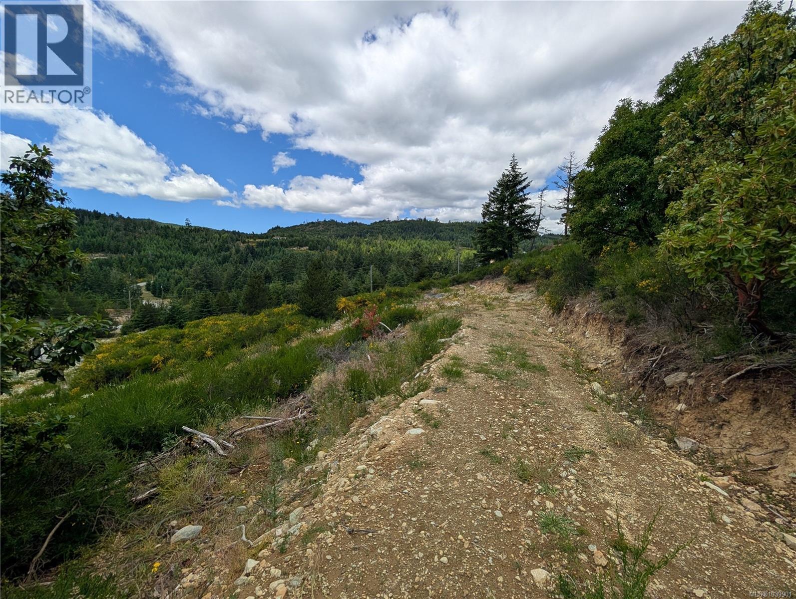 Lt 6 Eagle Vista Rd, Shawnigan Lake, British Columbia V8H 2J1 - Photo 31 - 1039901