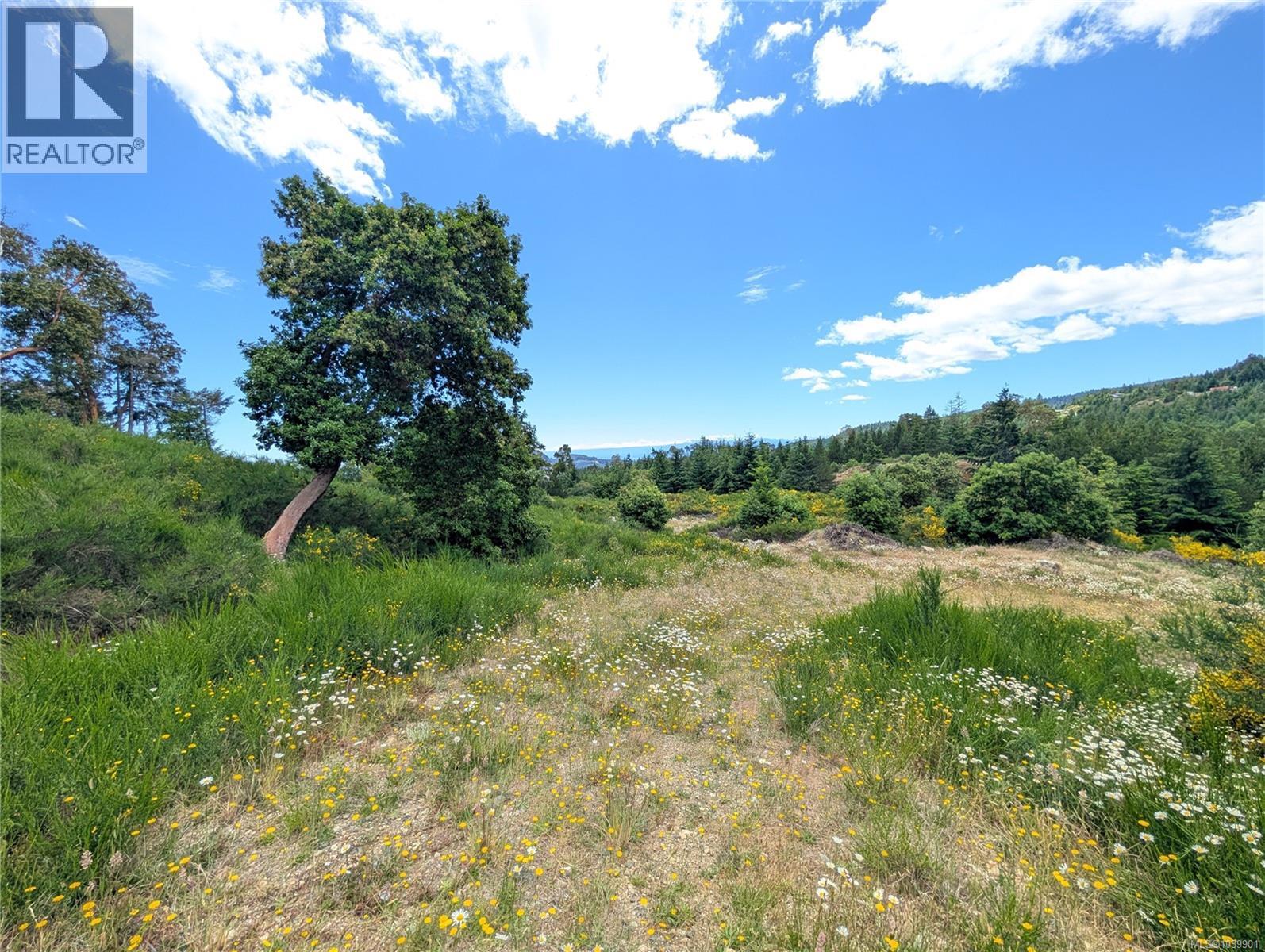 Lt 6 Eagle Vista Rd, Shawnigan Lake, British Columbia V8H 2J1 - Photo 34 - 1039901