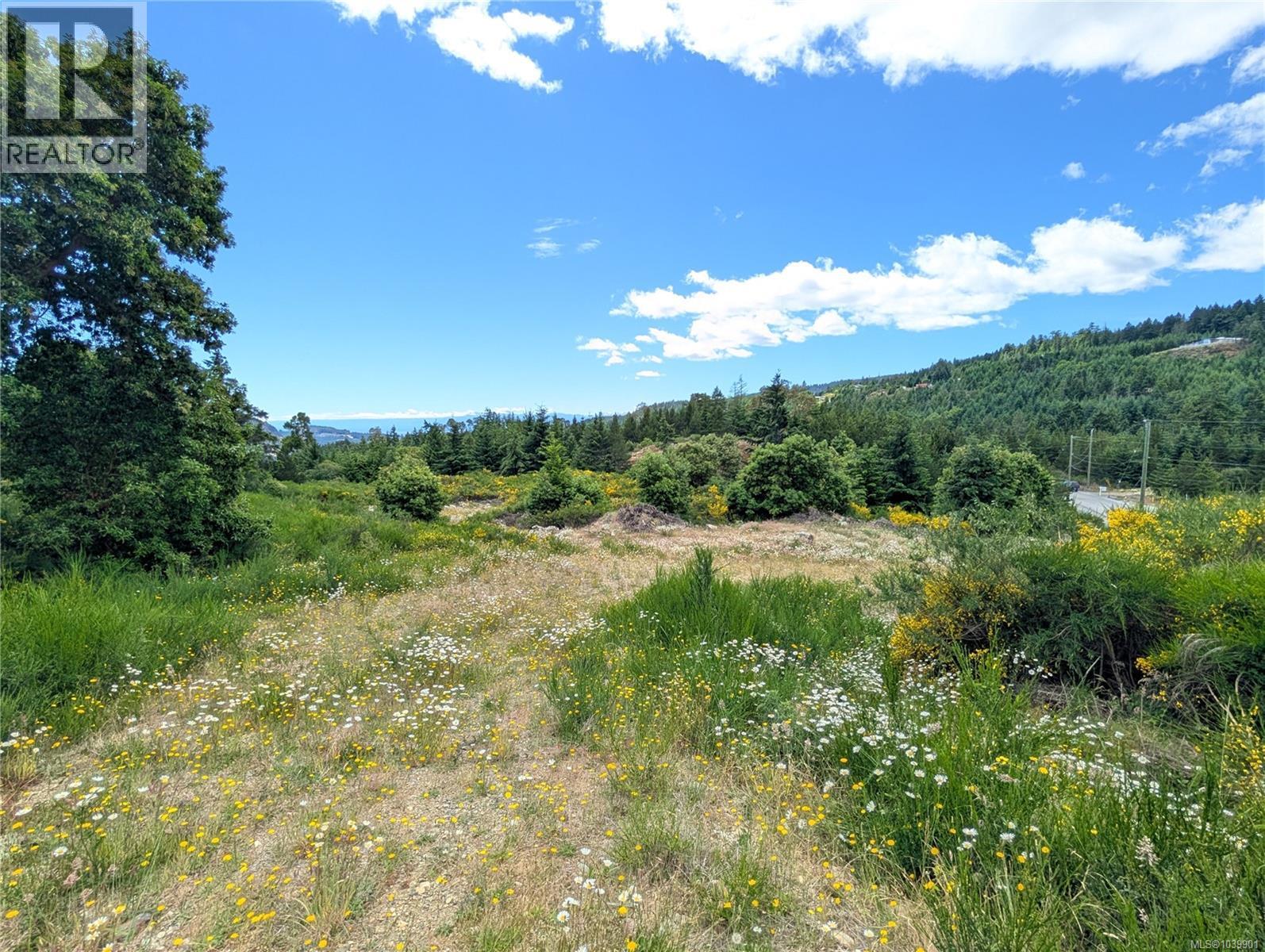 Lt 6 Eagle Vista Rd, Shawnigan Lake, British Columbia V8H 2J1 - Photo 35 - 1039901