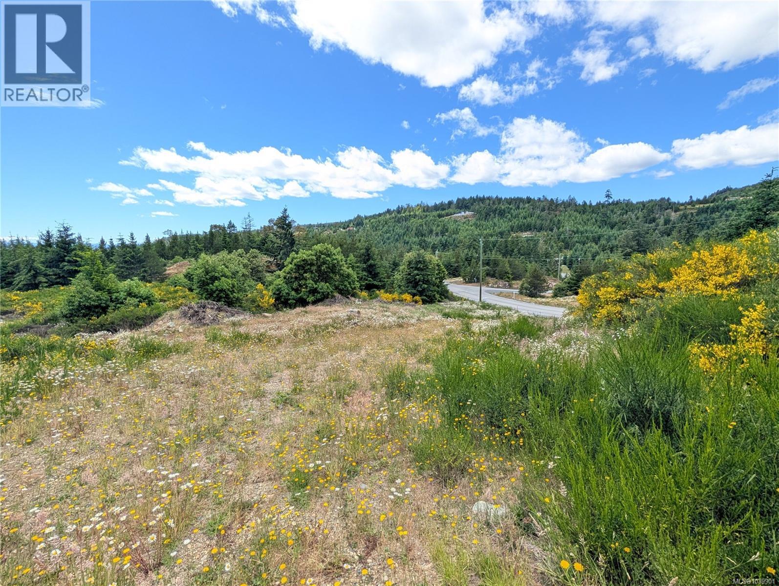 Lt 6 Eagle Vista Rd, Shawnigan Lake, British Columbia V8H 2J1 - Photo 36 - 1039901