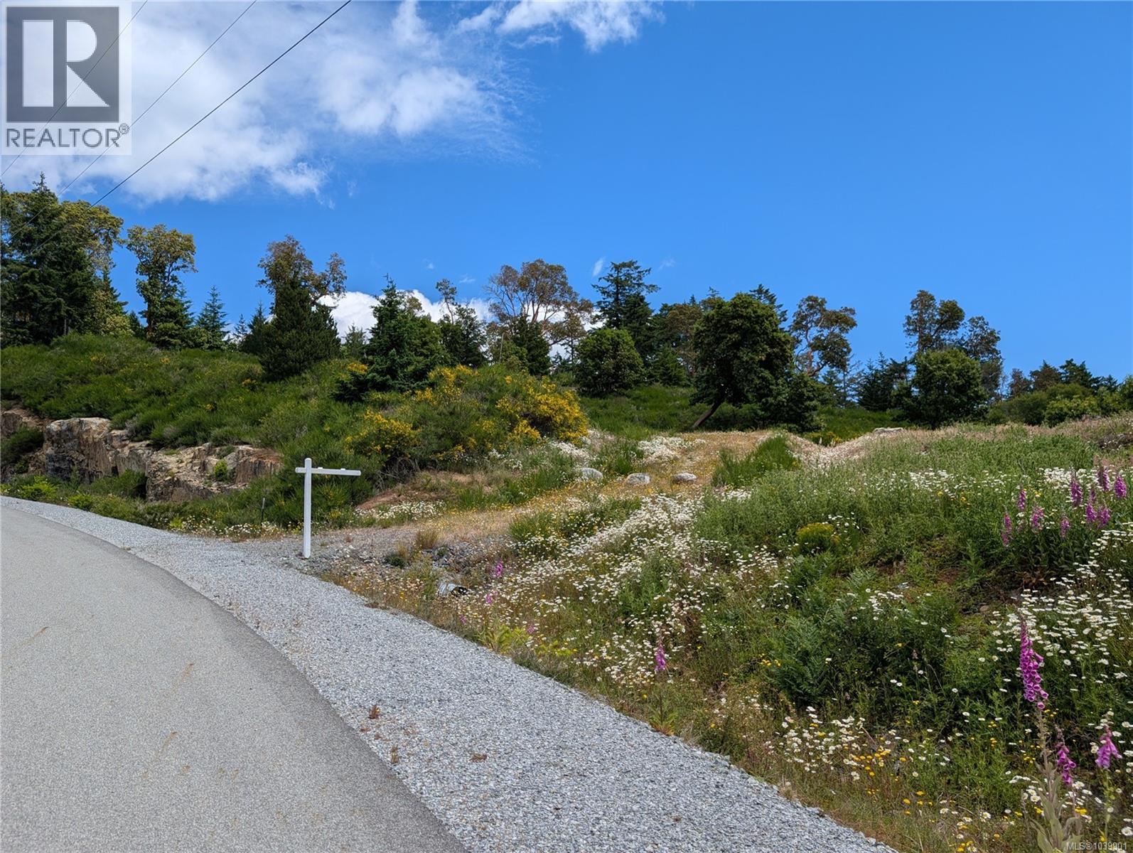 Lt 6 Eagle Vista Rd, Shawnigan Lake, British Columbia V8H 2J1 - Photo 5 - 1039901