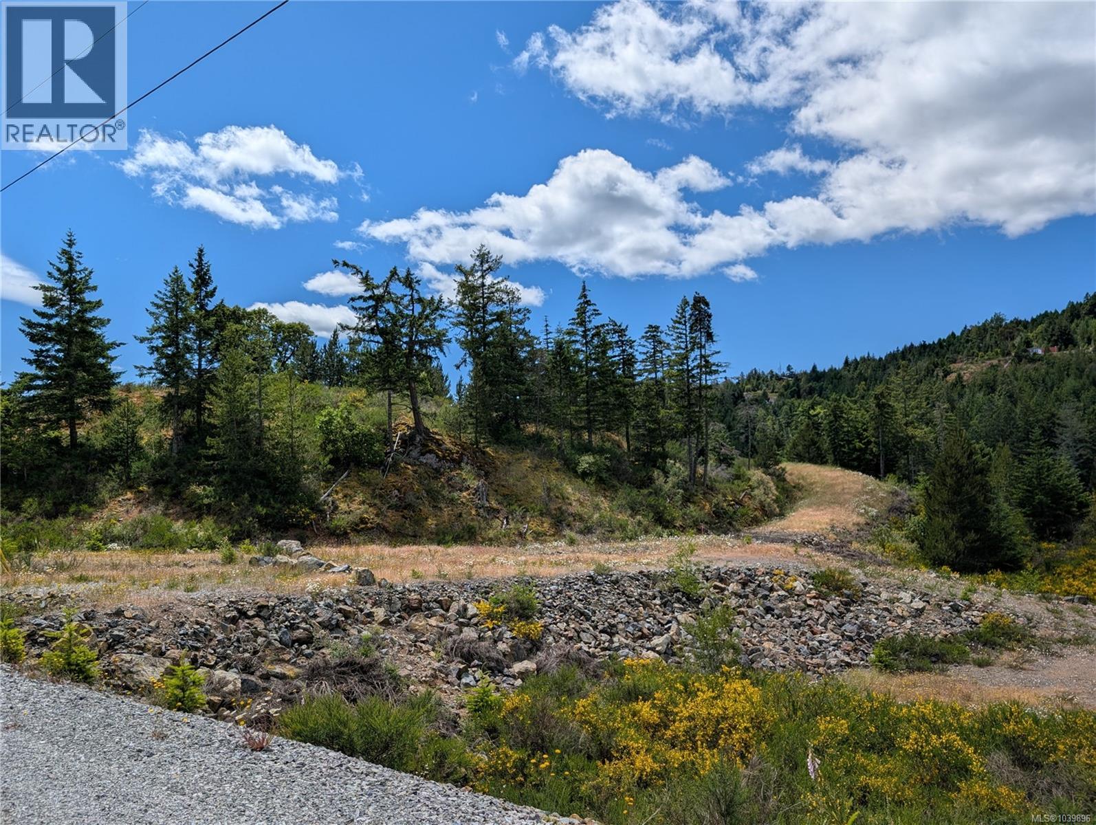 Lt 26 Eagle Dr, Shawnigan Lake, British Columbia  V8H 2J1 - Photo 13 - 1039896