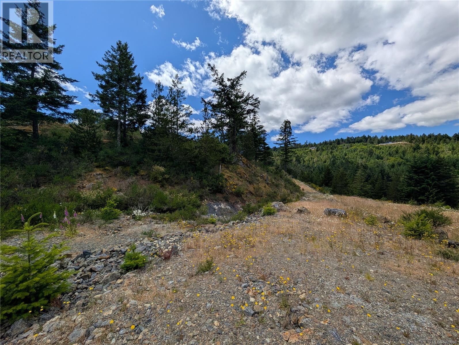 Lt 26 Eagle Dr, Shawnigan Lake, British Columbia  V8H 2J1 - Photo 14 - 1039896