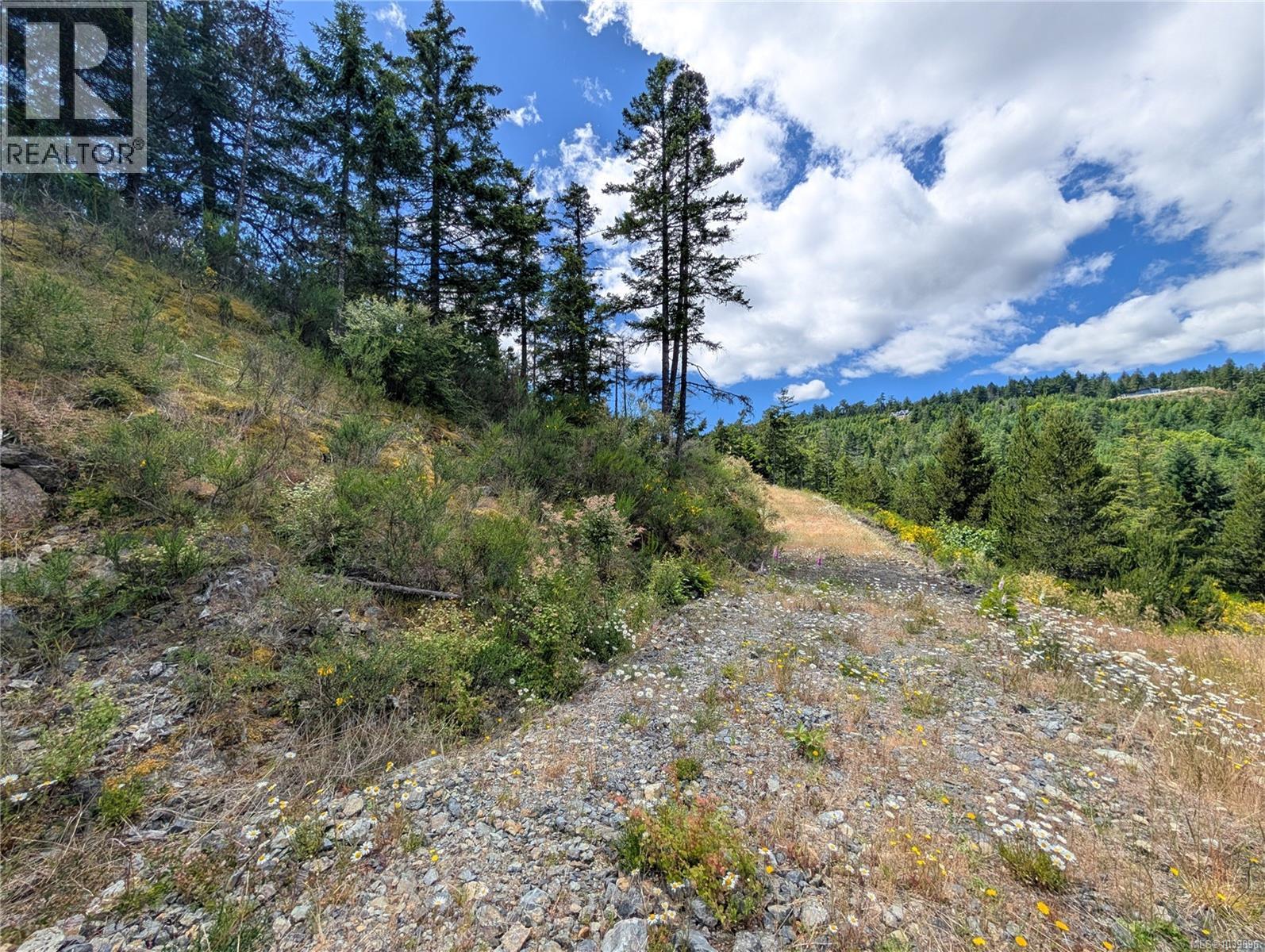 Lt 26 Eagle Dr, Shawnigan Lake, British Columbia  V8H 2J1 - Photo 17 - 1039896