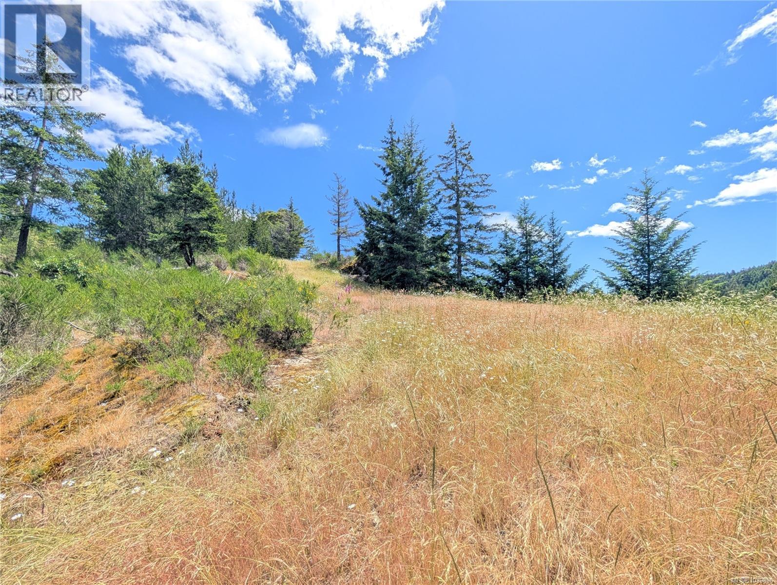 Lt 26 Eagle Dr, Shawnigan Lake, British Columbia  V8H 2J1 - Photo 18 - 1039896