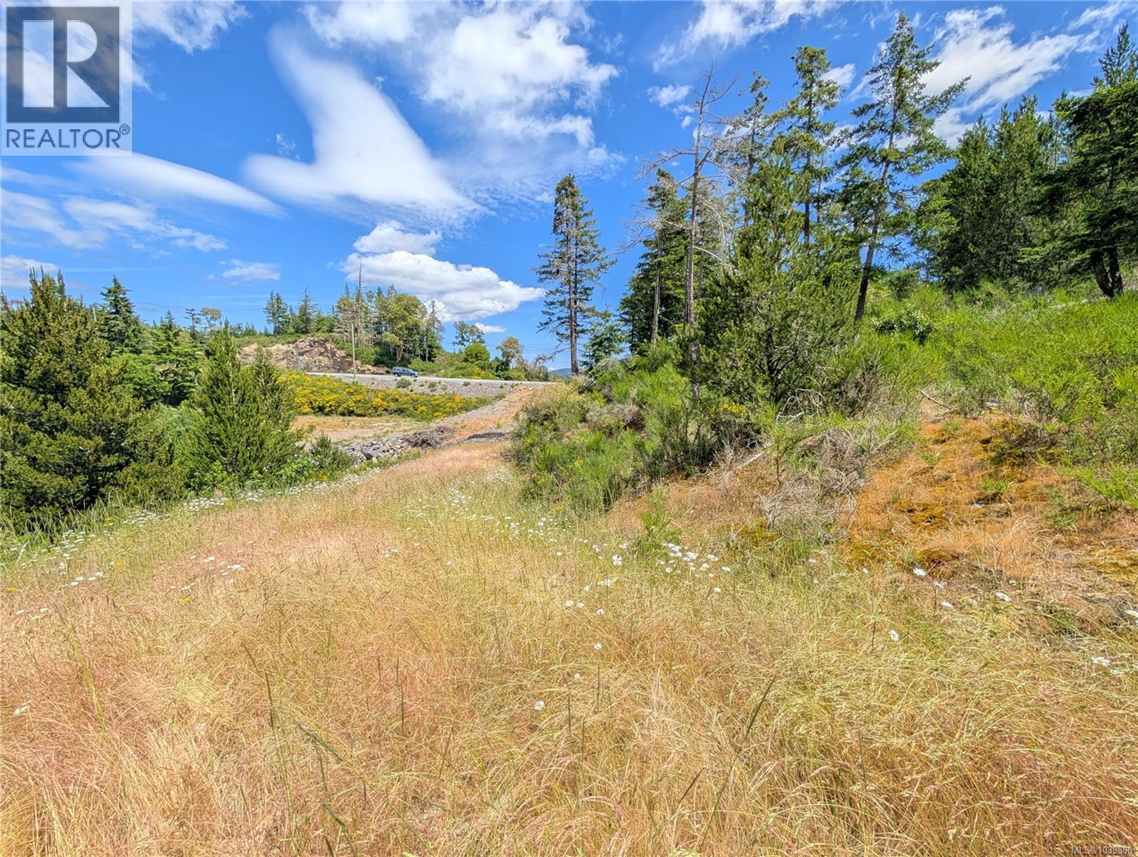 Lt 26 Eagle Dr, Shawnigan Lake, British Columbia  V8H 2J1 - Photo 19 - 1039896