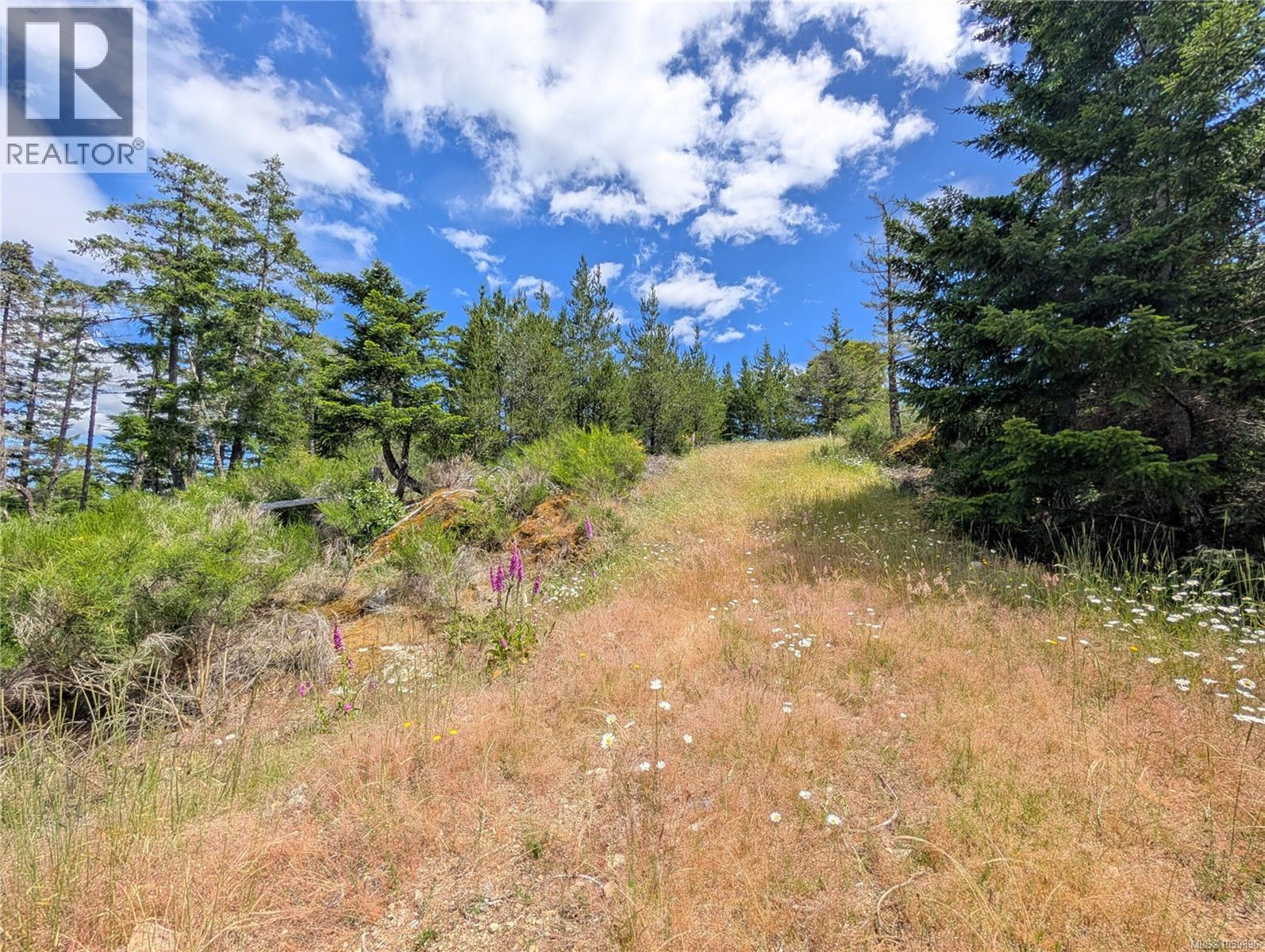 Lt 26 Eagle Dr, Shawnigan Lake, British Columbia  V8H 2J1 - Photo 20 - 1039896