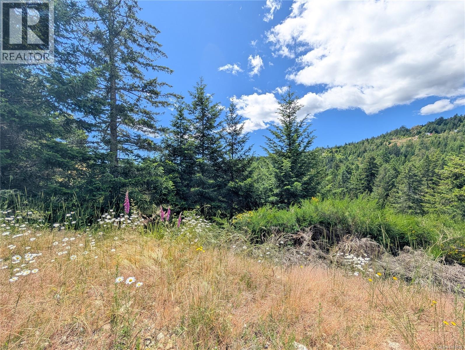 Lt 26 Eagle Dr, Shawnigan Lake, British Columbia  V8H 2J1 - Photo 21 - 1039896