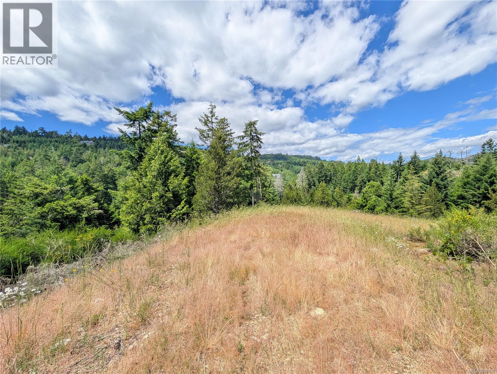 Lt 26 Eagle Dr, Shawnigan Lake, British Columbia  V8H 2J1 - Photo 22 - 1039896