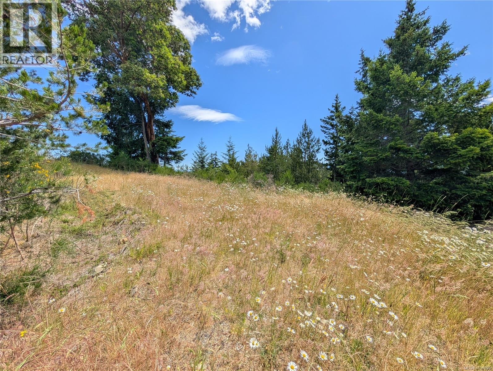 Lt 26 Eagle Dr, Shawnigan Lake, British Columbia  V8H 2J1 - Photo 23 - 1039896