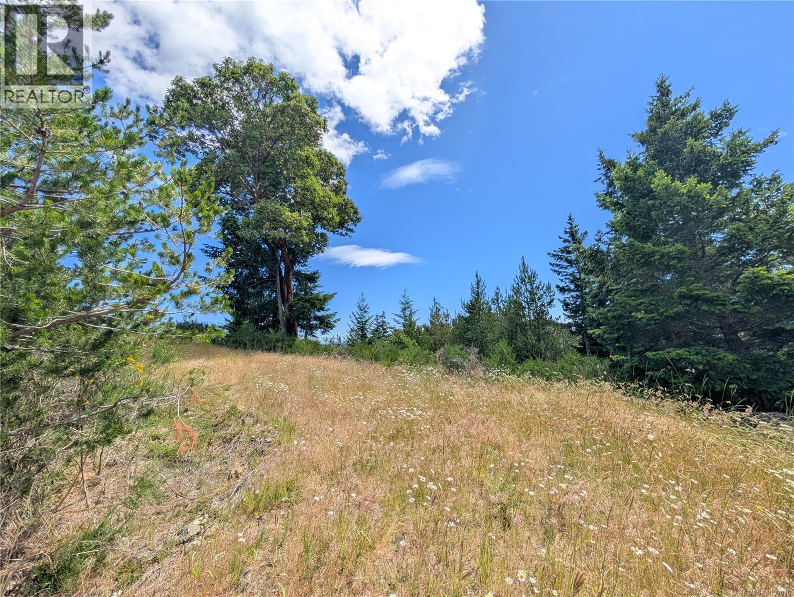 Lt 26 Eagle Dr, Shawnigan Lake, British Columbia  V8H 2J1 - Photo 24 - 1039896