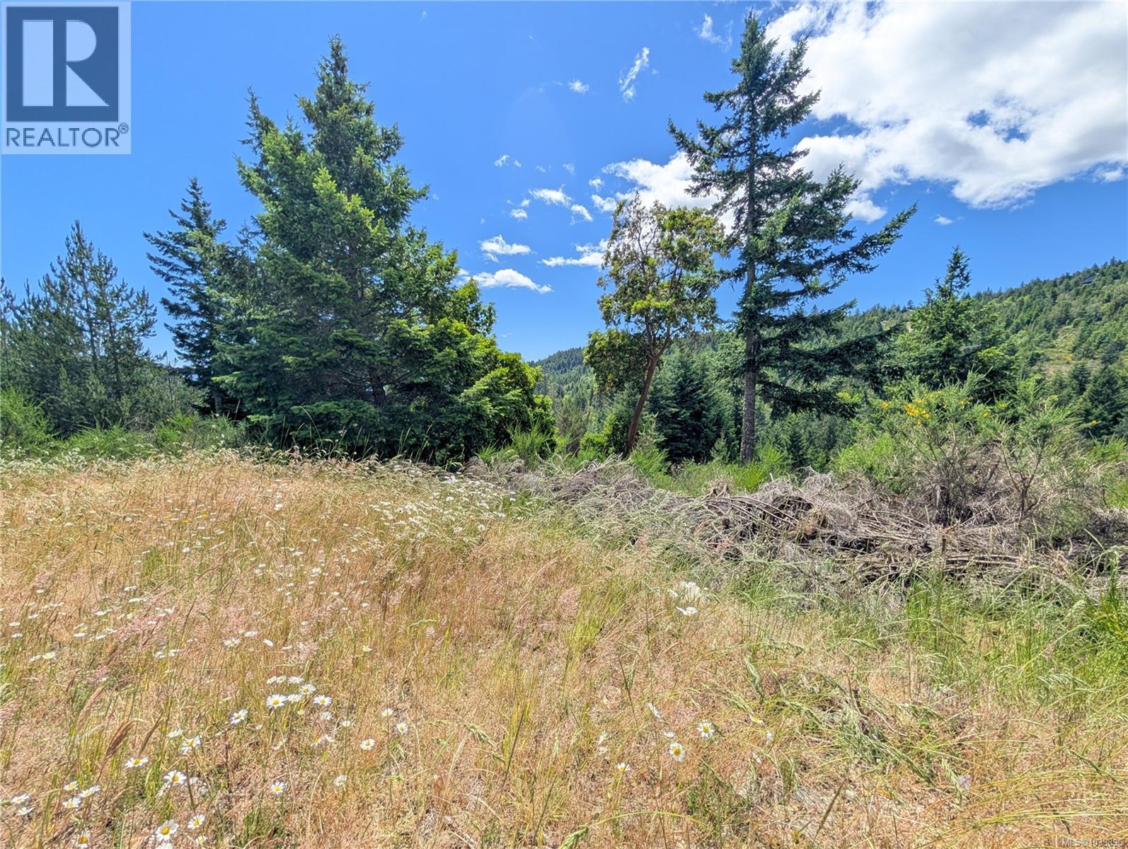 Lt 26 Eagle Dr, Shawnigan Lake, British Columbia  V8H 2J1 - Photo 25 - 1039896
