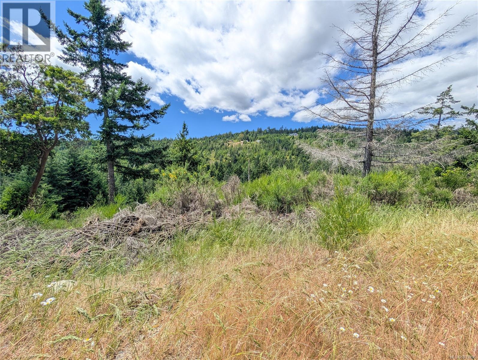Lt 26 Eagle Dr, Shawnigan Lake, British Columbia  V8H 2J1 - Photo 26 - 1039896
