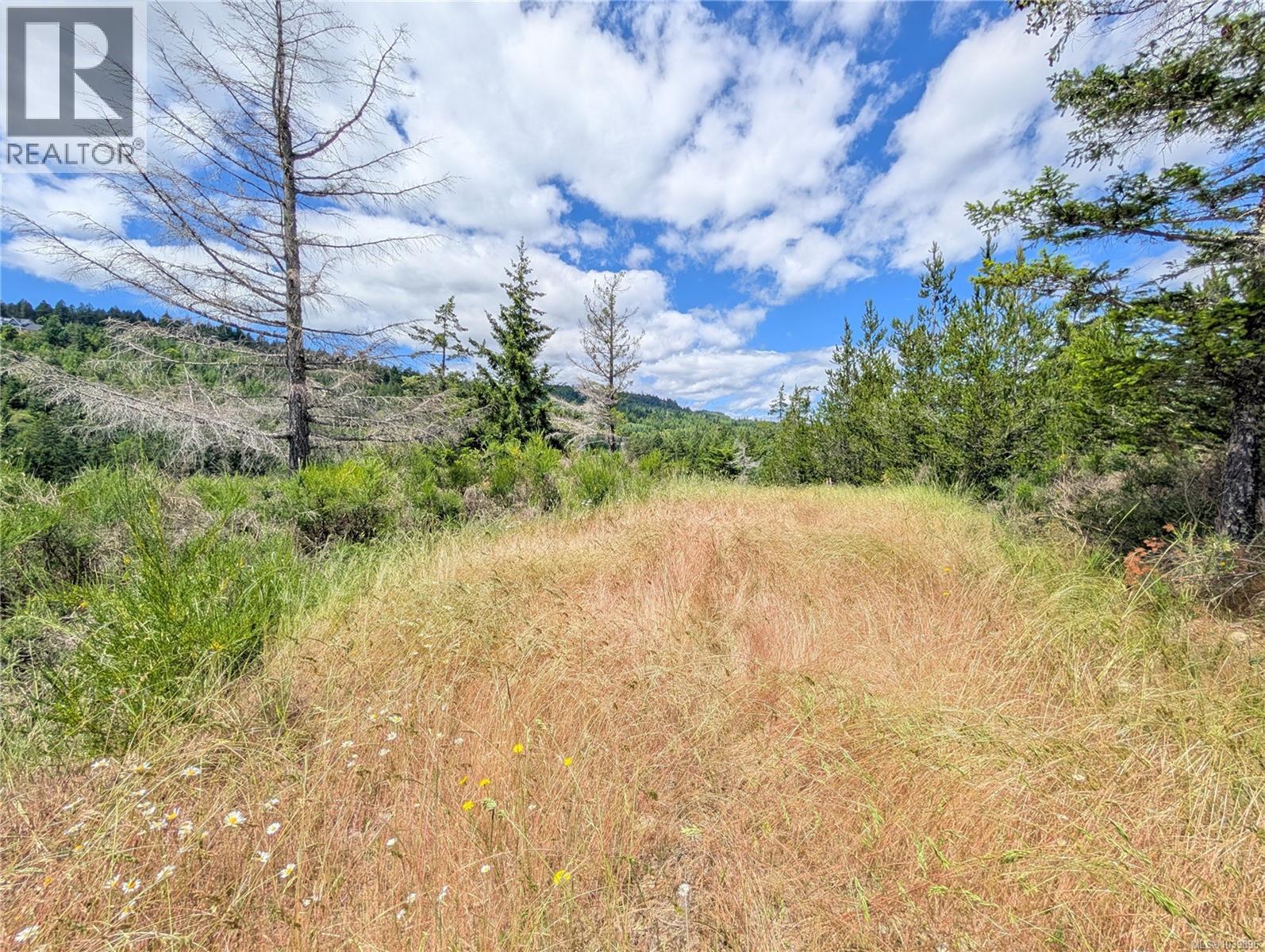 Lt 26 Eagle Dr, Shawnigan Lake, British Columbia  V8H 2J1 - Photo 27 - 1039896
