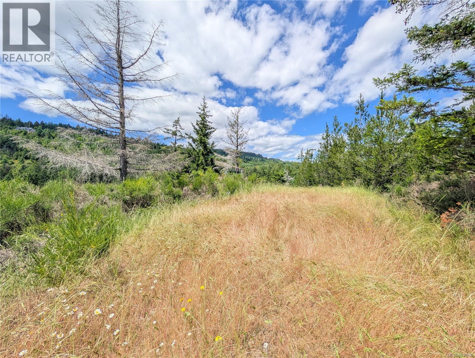 Lt 26 Eagle Dr, Shawnigan Lake, British Columbia  V8H 2J1 - Photo 28 - 1039896