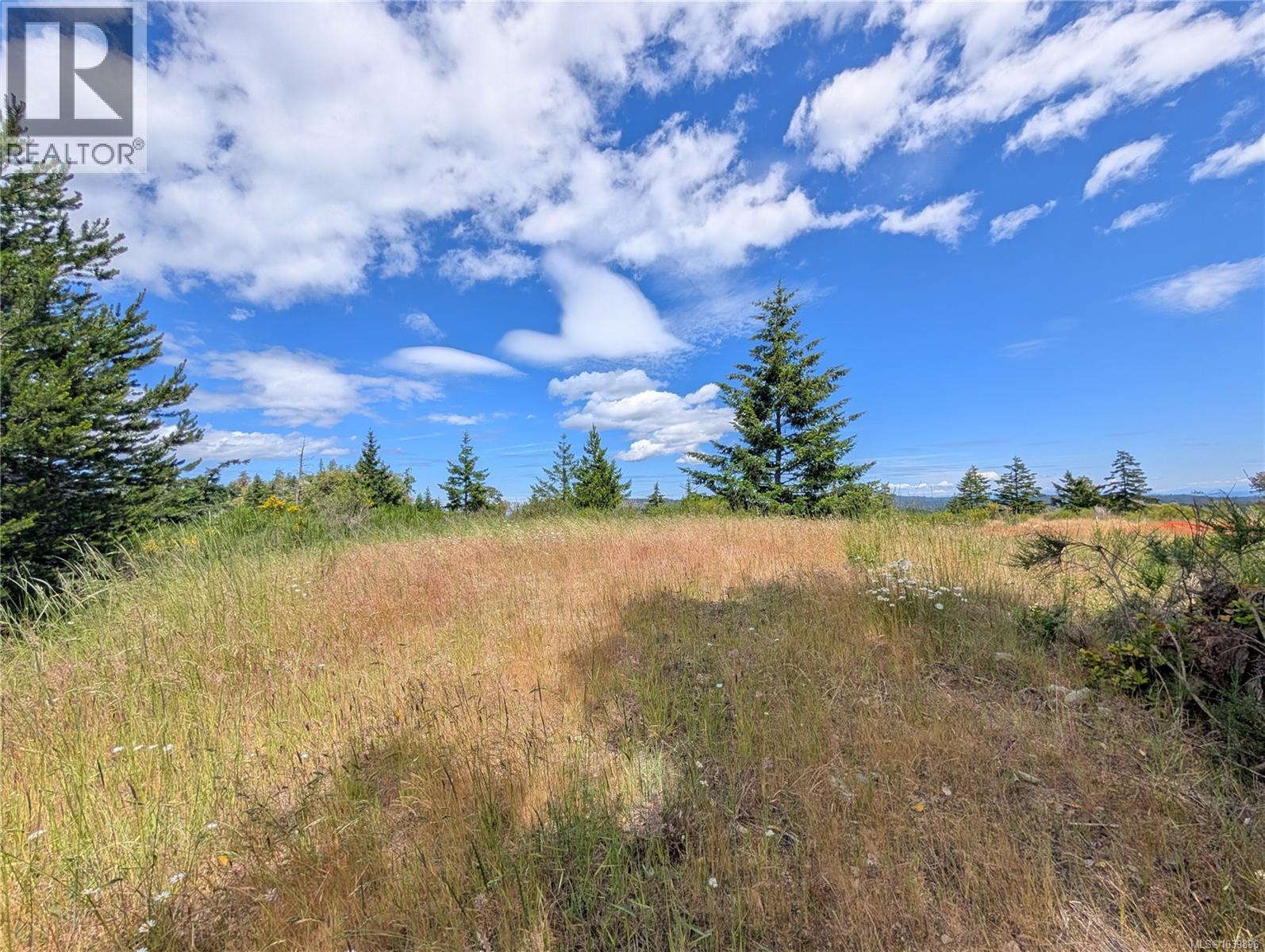 Lt 26 Eagle Dr, Shawnigan Lake, British Columbia  V8H 2J1 - Photo 29 - 1039896