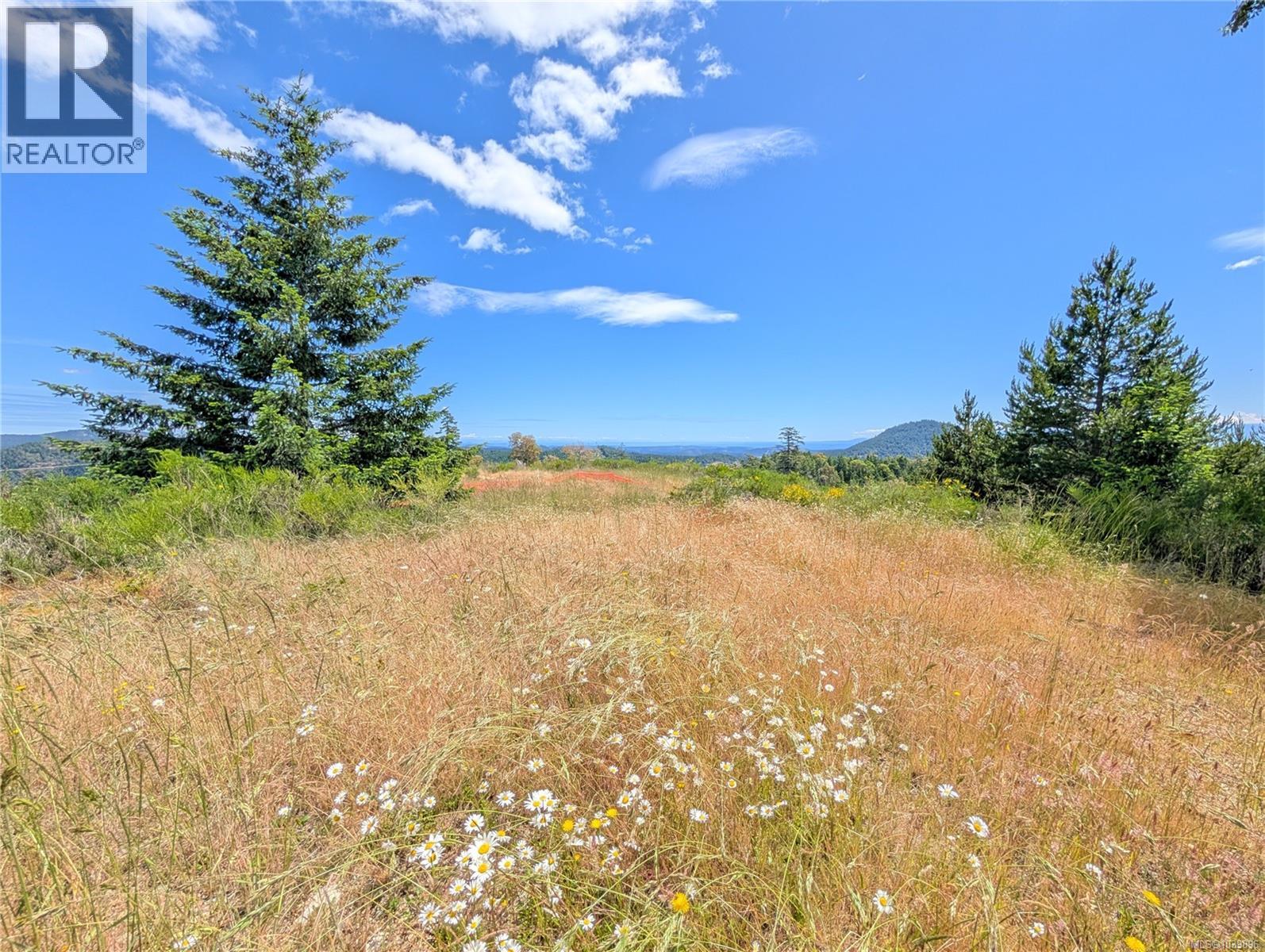 Lt 26 Eagle Dr, Shawnigan Lake, British Columbia  V8H 2J1 - Photo 3 - 1039896