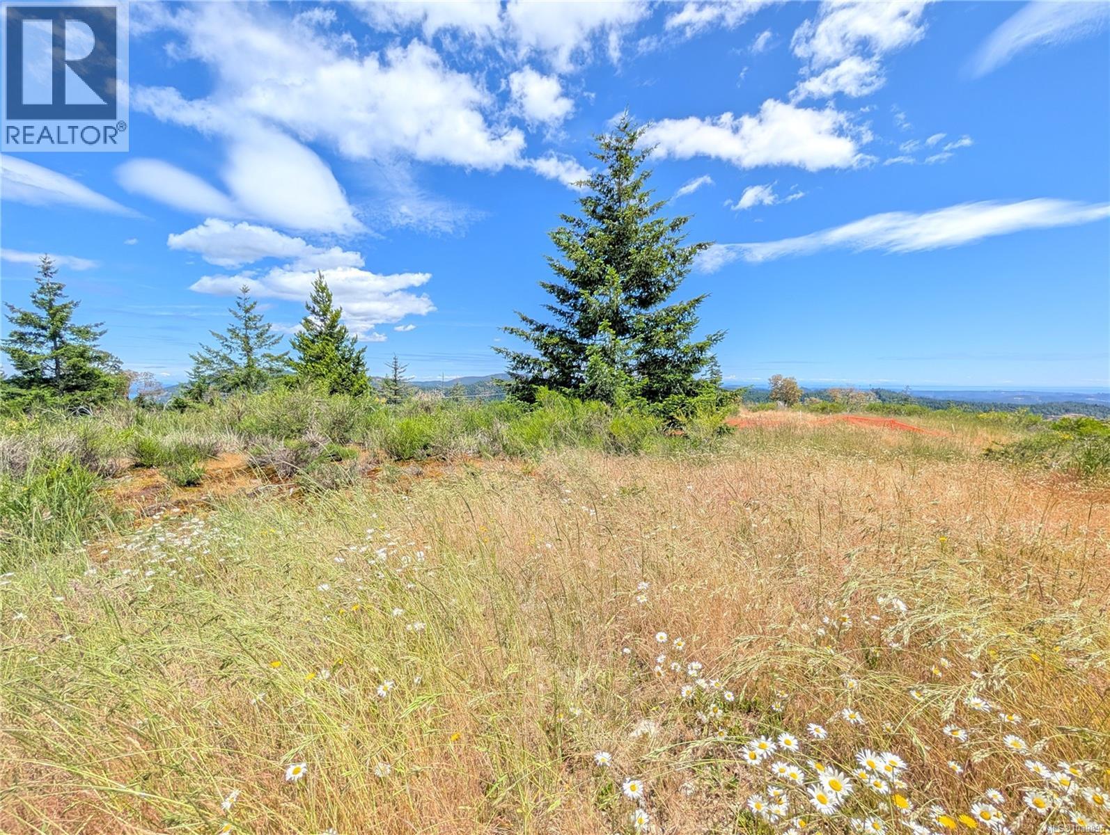 Lt 26 Eagle Dr, Shawnigan Lake, British Columbia  V8H 2J1 - Photo 39 - 1039896