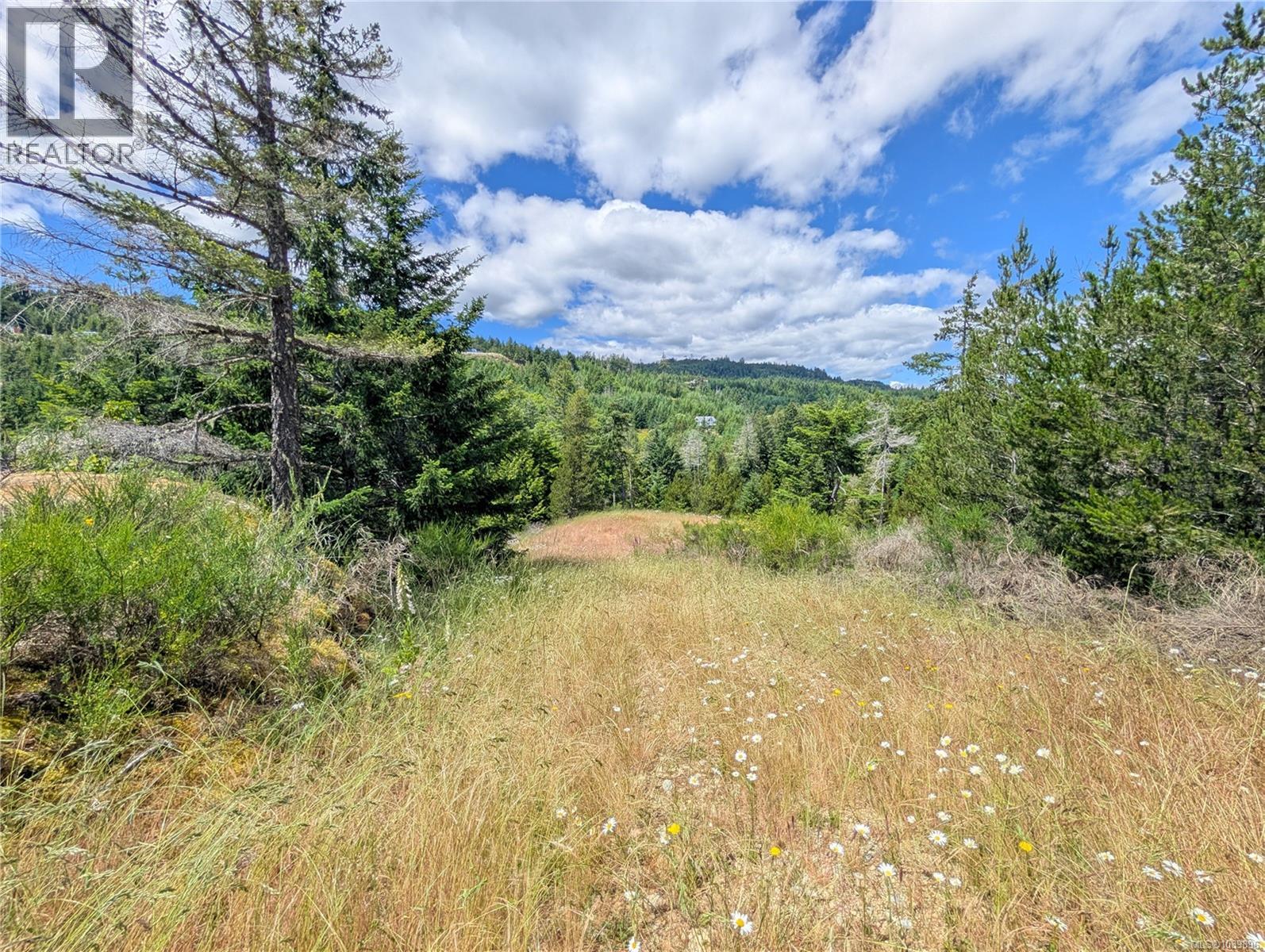 Lt 26 Eagle Dr, Shawnigan Lake, British Columbia  V8H 2J1 - Photo 43 - 1039896