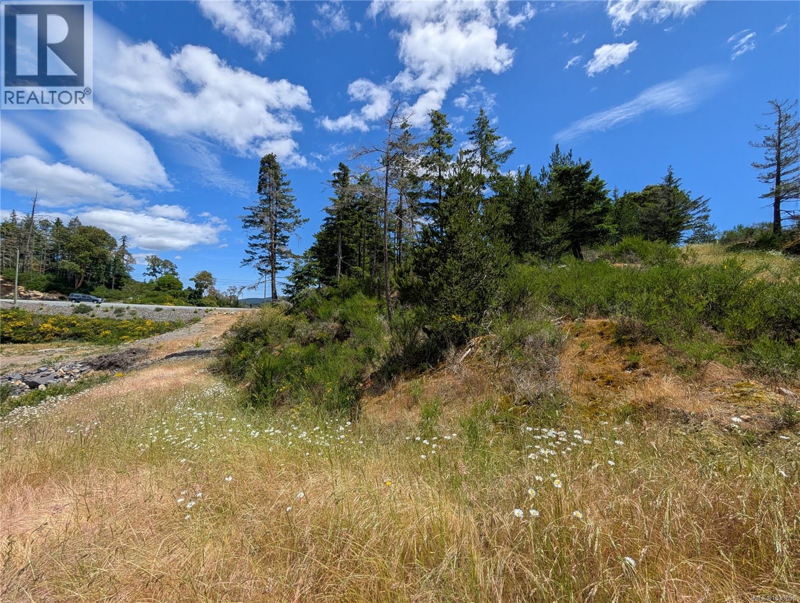 Lt 26 Eagle Dr, Shawnigan Lake, British Columbia  V8H 2J1 - Photo 45 - 1039896