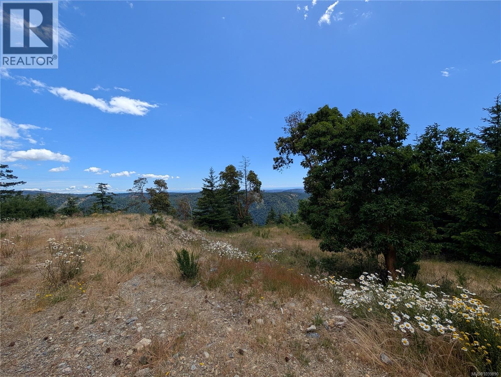 Lt 8 Eagle Dr, Shawnigan Lake, British Columbia V8H 2J1 - Photo 11 - 1039890