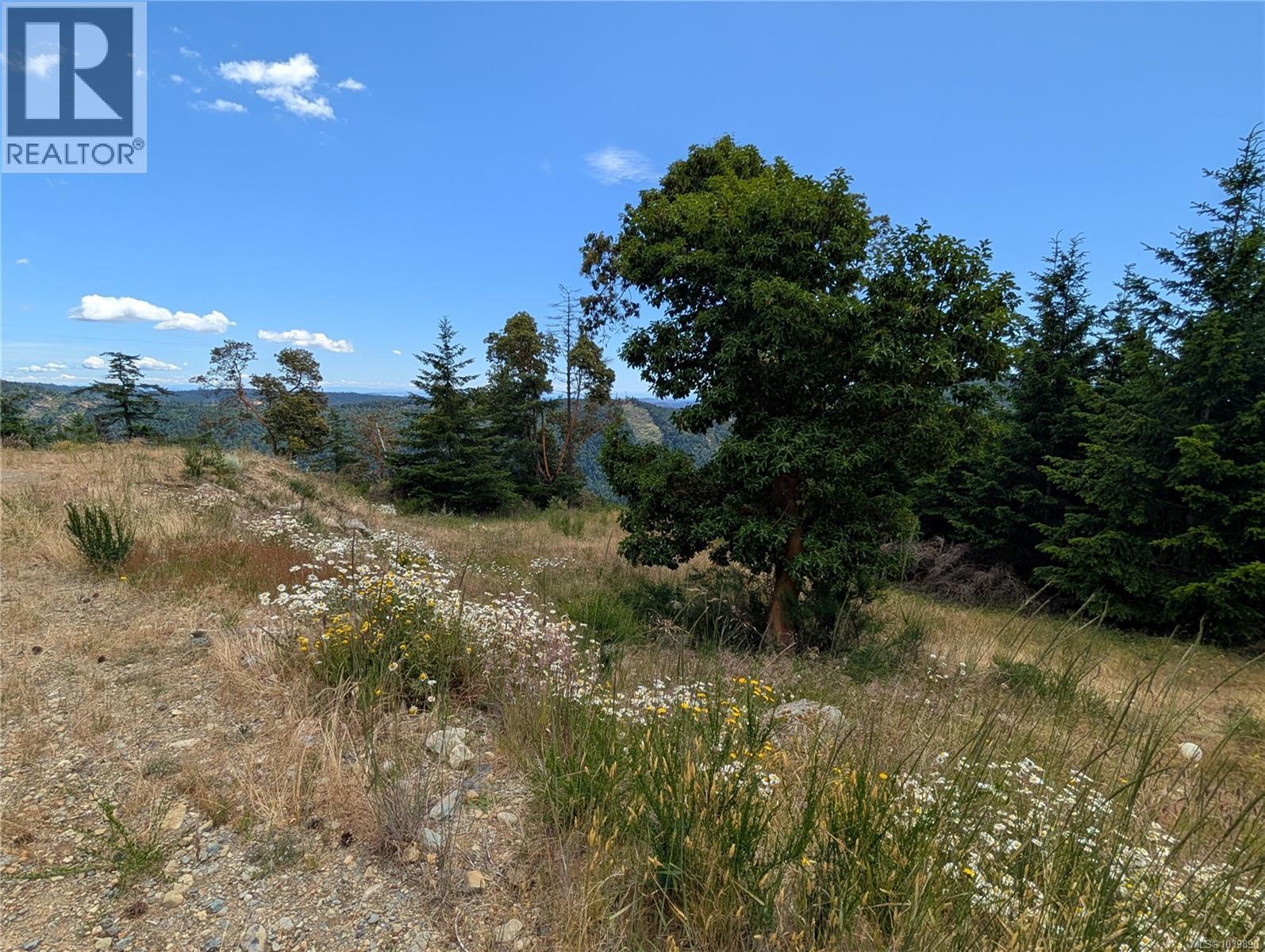 Lt 8 Eagle Dr, Shawnigan Lake, British Columbia V8H 2J1 - Photo 22 - 1039890