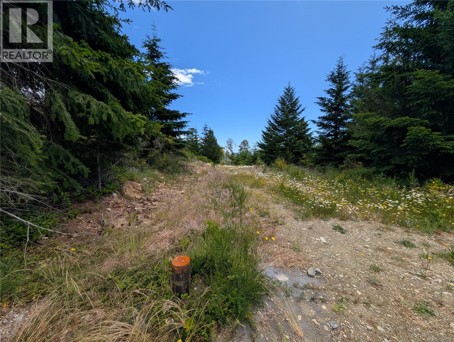 Lt 8 Eagle Dr, Shawnigan Lake, British Columbia V8H 2J1 - Photo 9 - 1039890