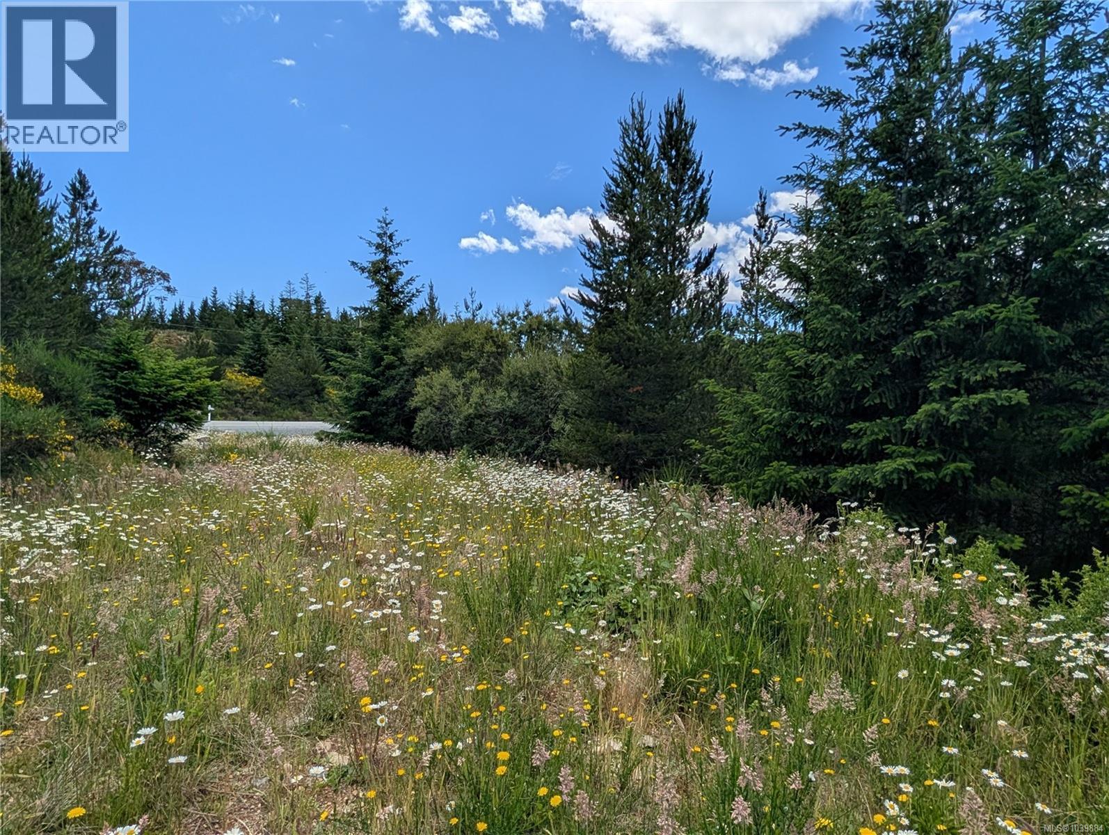 Lot 1 Eagle Vista Rd, Shawnigan Lake, British Columbia  V8H 2J1 - Photo 10 - 1039884