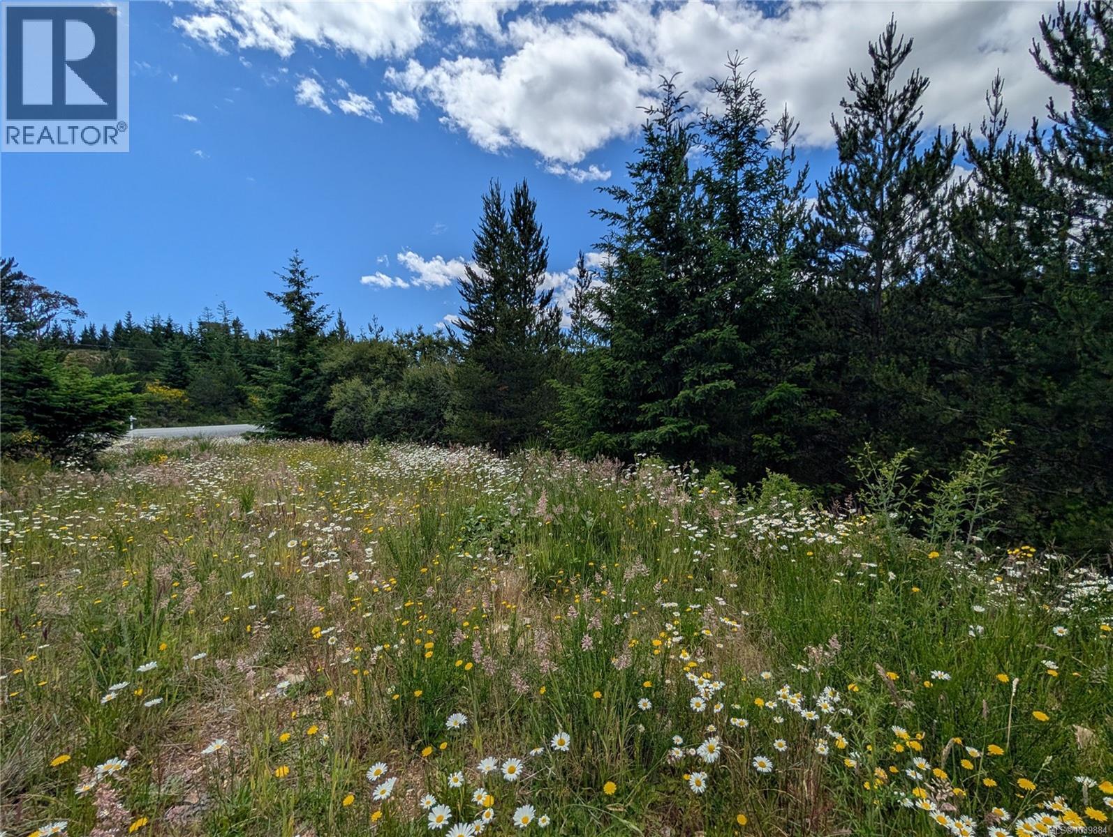 Lot 1 Eagle Vista Rd, Shawnigan Lake, British Columbia  V8H 2J1 - Photo 11 - 1039884