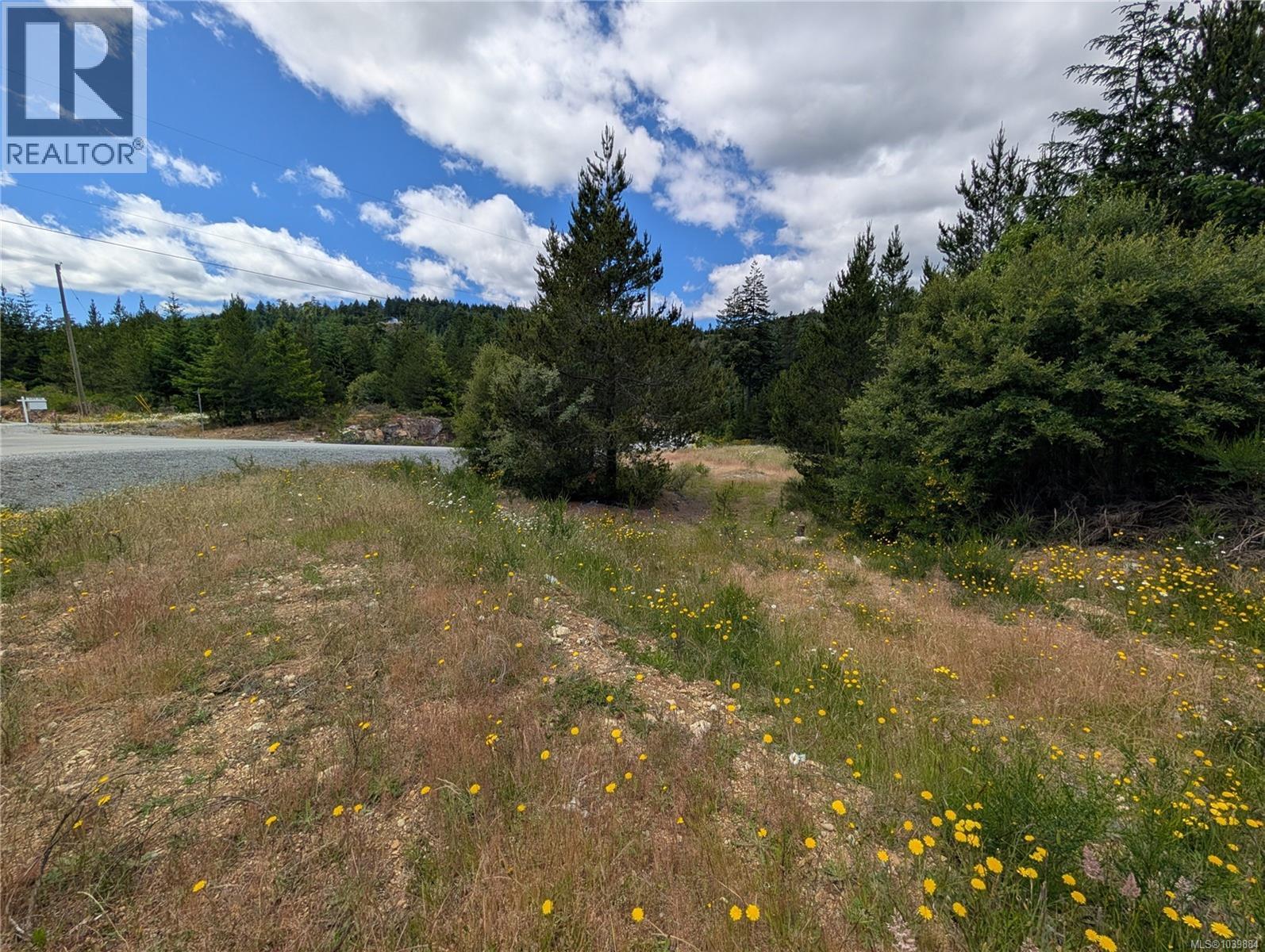 Lot 1 Eagle Vista Rd, Shawnigan Lake, British Columbia  V8H 2J1 - Photo 13 - 1039884