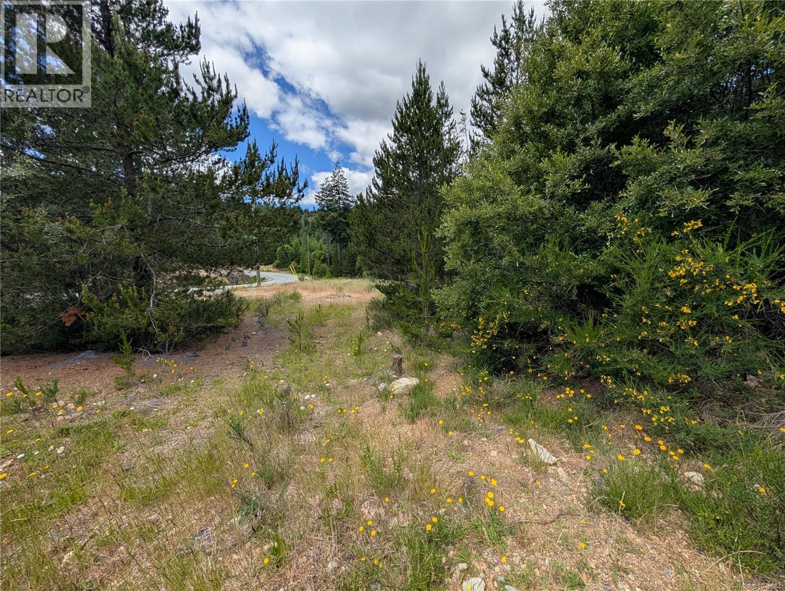Lot 1 Eagle Vista Rd, Shawnigan Lake, British Columbia  V8H 2J1 - Photo 14 - 1039884